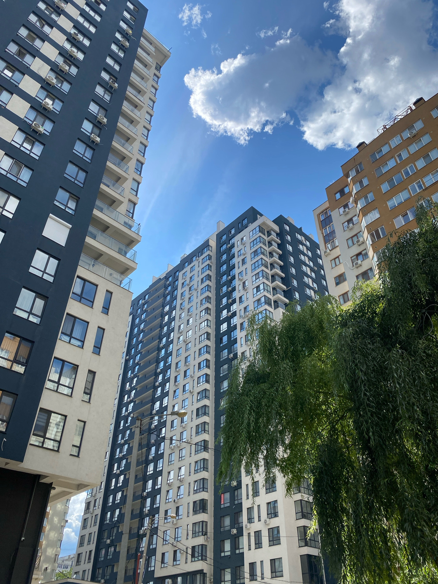 The image depicts a view looking up at several modern apartment buildings against a bright blue sky with scattered white clouds. The buildings are of varying heights and architectural styles. One building on the left is predominantly dark blue with white accents and balconies. Another taller building in the center has a facade alternating between white and dark blue sections, with numerous windows and air conditioning units visible. To the right, a lighter-colored building with orange-brown and white elements is visible, also featuring many windows. Lush green foliage from a weeping willow tree hangs down from the right side of the frame, partially obscuring the buildings. A utility pole with wires is present in the foreground, between the central and right buildings. The overall impression is of a contemporary urban residential area. Based on the architectural style and the presence of these specific buildings, this scene is located in the Republic of Moldova, within the city of Chișinău. Specifically, it appears to be in a newer, developing residential district such as Botanica or Telecentru, likely in the vicinity of Albișoara Street, known for its modern high-rise constructions. There are no people or discernible actions in the image.