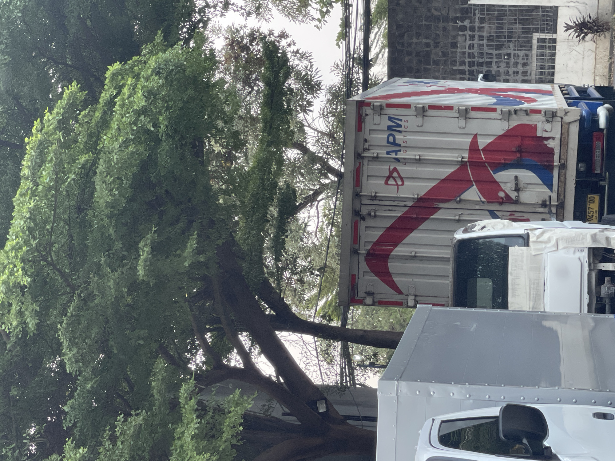 In South Tangerang, Indonesia, on a cloudy day, two delivery trucks are parked on a street. The truck on the right is white with red and blue stripes and the "APM LOGISTICS" logo. The truck on the left is also white and appears to be a different model. Behind the trucks, a stone wall and some sparse vegetation are visible. Above the trucks, a large tree with lush green leaves provides shade, with power lines also visible amongst the branches. The scene appears to be an outdoor storage or staging area for logistics operations.