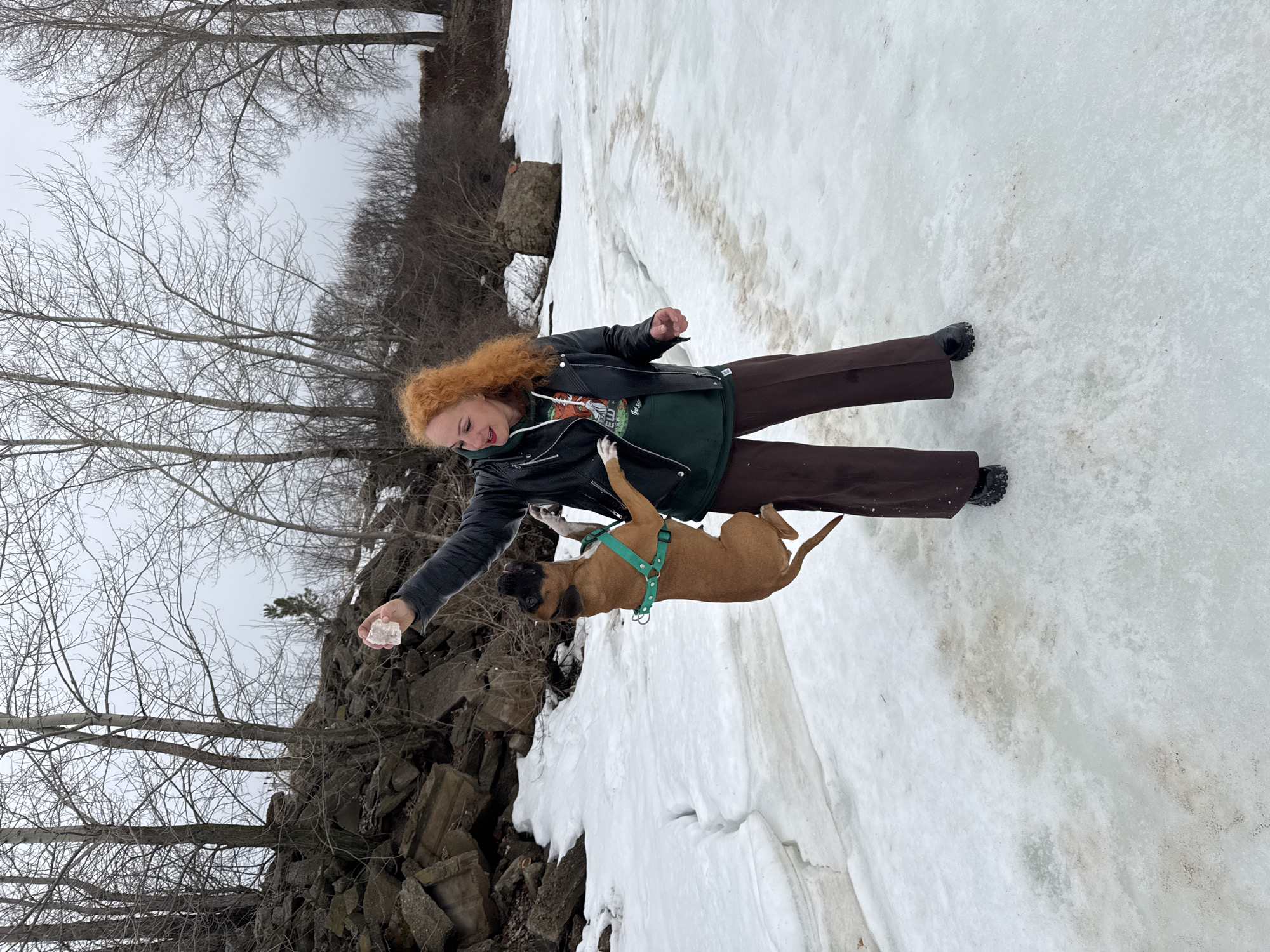 The image depicts a woman interacting with a dog in a snowy outdoor environment. The woman has red curly hair, and is wearing a black leather jacket, a green t-shirt, and brown pants. She is holding a piece of ice or snow in her outstretched hand. A medium-sized brown dog with a black face is jumping up towards her. The dog is wearing a green harness. The location appears to be a snow-covered area near a rocky or stone embankment. Bare trees are visible in the background under a grey sky. The city is Chaikovsky, Russia.