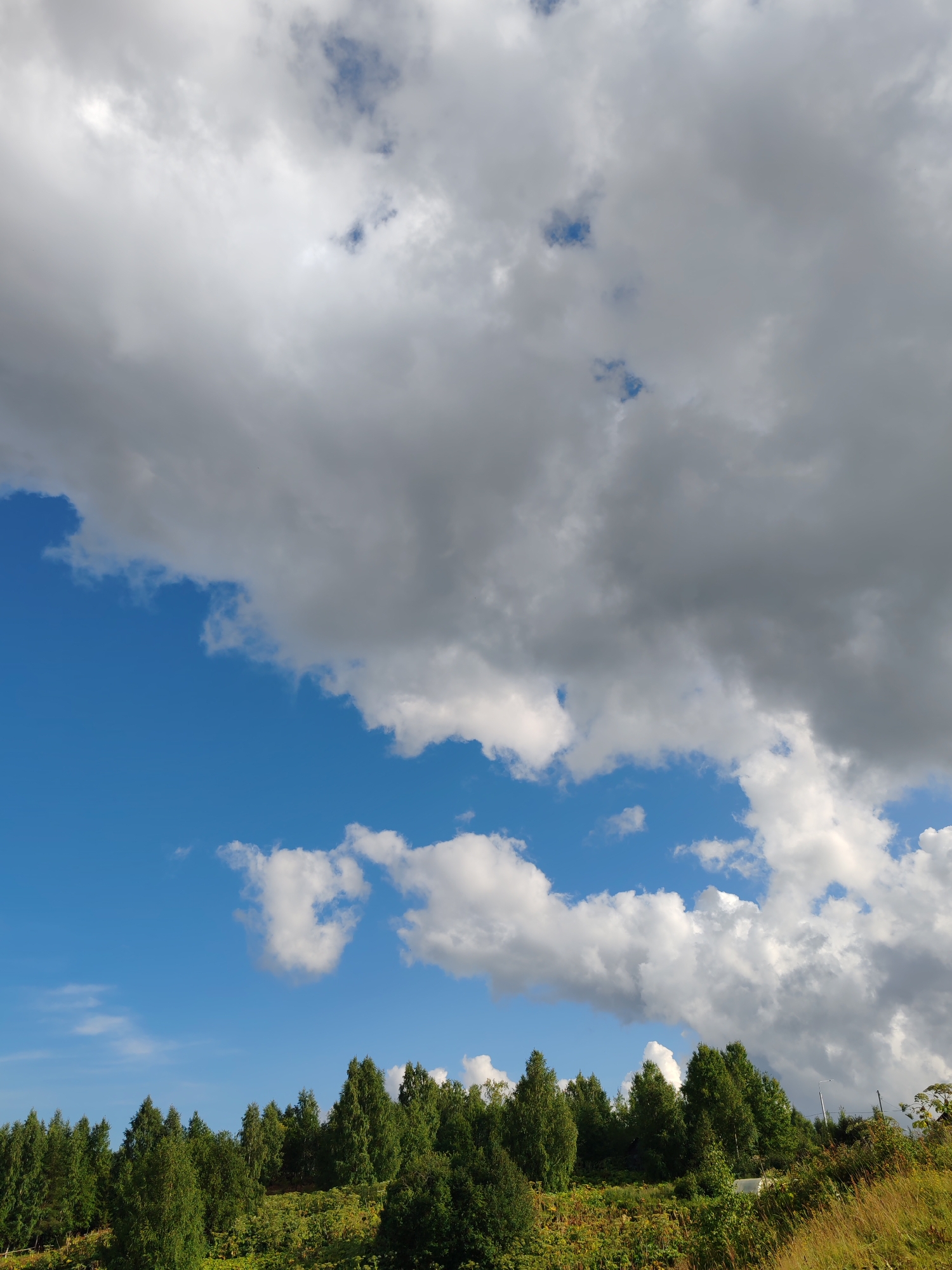 A wide-angle, eye-level outdoor shot captures a bright, partly cloudy sky over a densely wooded hillside. The sky is a vivid blue, interspersed with large, fluffy white clouds and darker, more ominous gray clouds that stretch across the upper portion of the frame. The sun appears to be behind the clouds, casting a soft, diffused light.
The hillside below is covered in a thick canopy of green trees, predominantly evergreen with some deciduous varieties mixed in. The foliage is lush and vibrant, suggesting a warm season. The terrain slopes upward from left to right, with some areas of undergrowth and possibly some dry grass in the foreground on the right. The overall impression is one of a natural landscape, likely in a rural or semi-rural setting. There are no people or animals visible in the image, and no man-made structures are readily apparent besides a faint suggestion of a distant utility pole on the far right. The scene appears calm and serene.