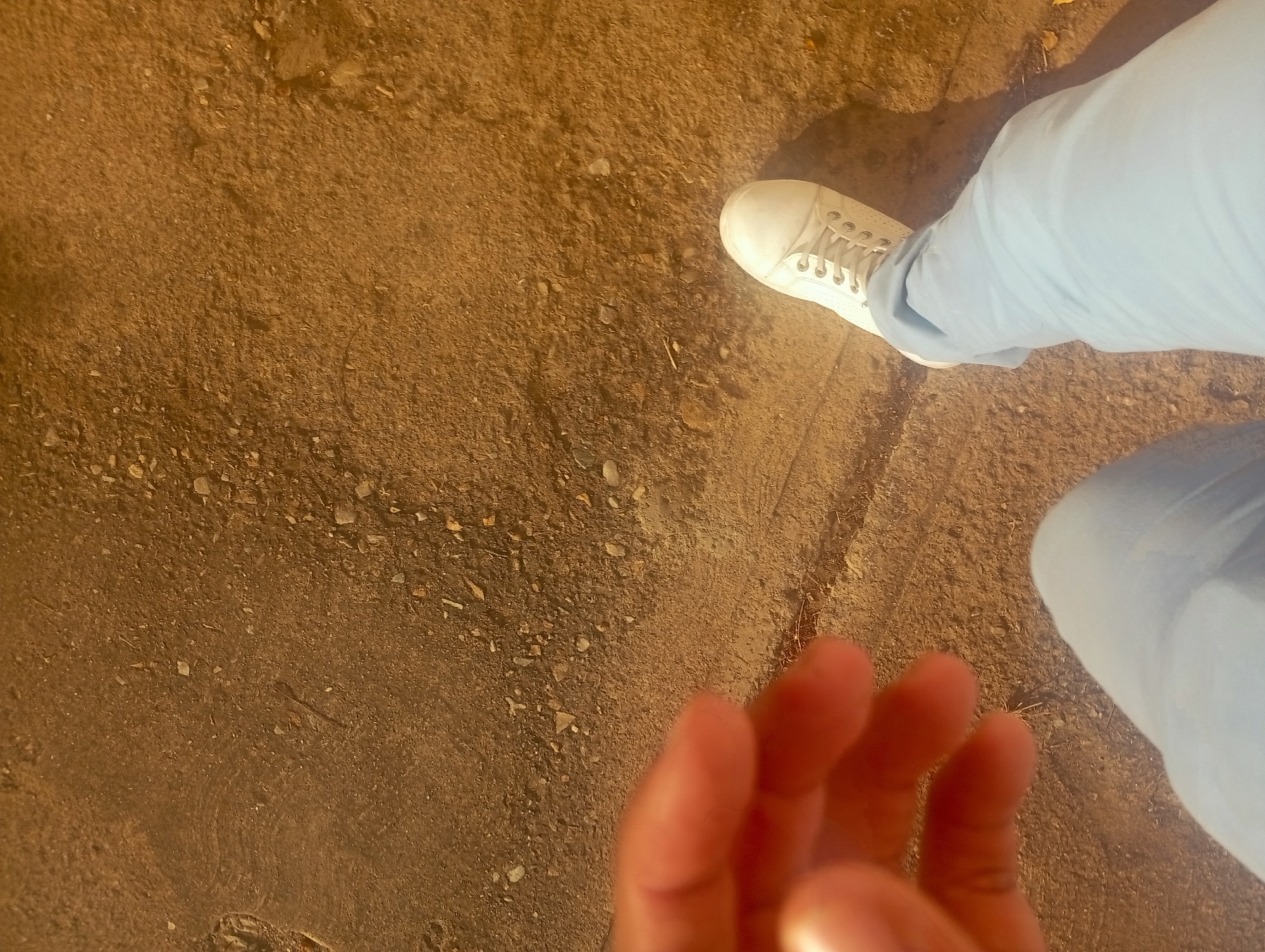 In Juan Griego, Venezuela, a close-up, high-angle shot captures a person's legs and a hand against a textured, earthy ground. The ground appears to be a mix of soil and small stones, with some dried vegetation scattered across its surface. The person is wearing light blue trousers and a white sneaker. The sneaker is a low-top style with white laces and eyelets. The hand in the foreground is out of focus and is positioned with its palm facing upwards, suggesting a gesture. The overall lighting suggests it is daytime, possibly late afternoon given the warm tone of the ground.