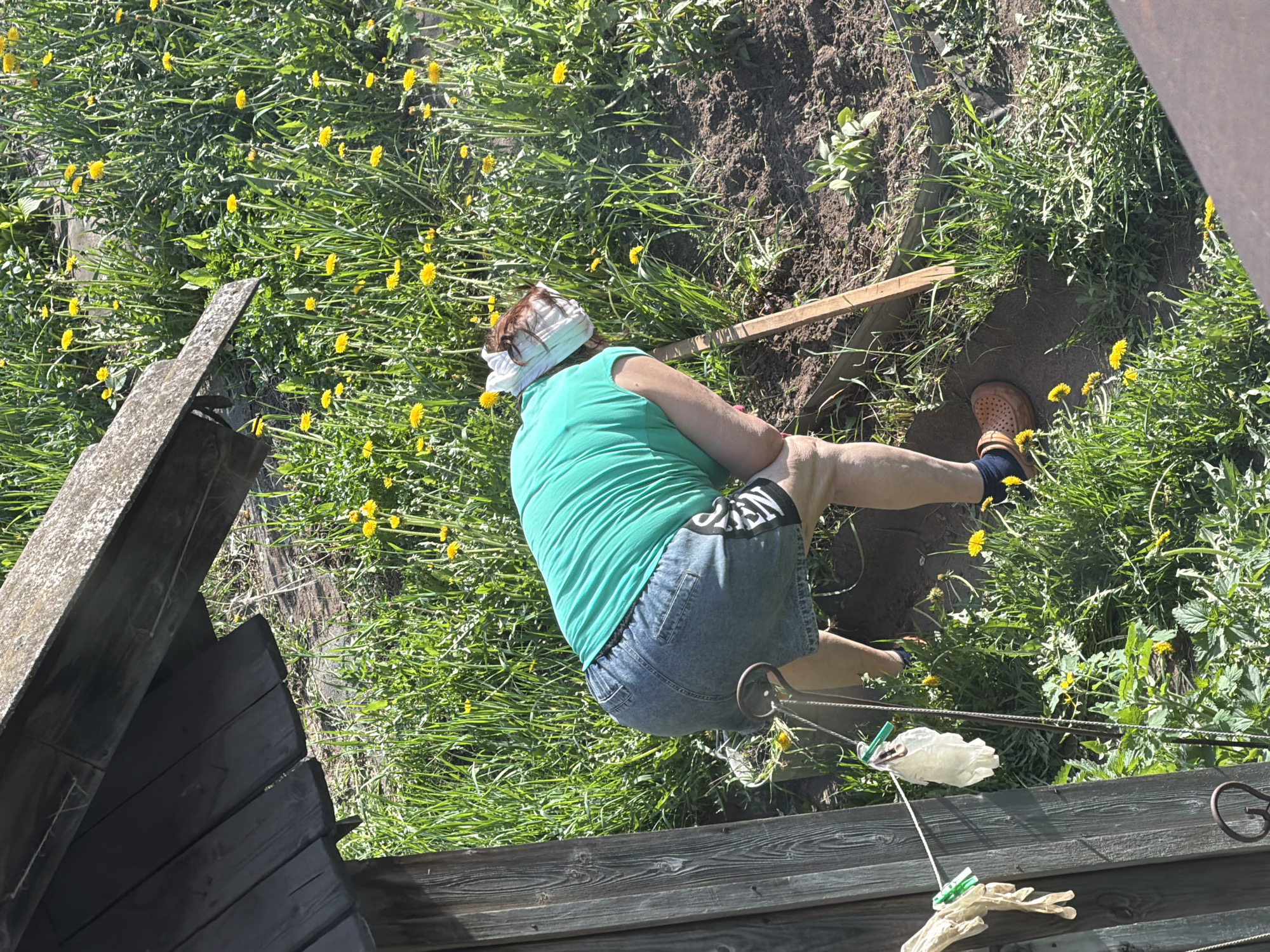 The image shows a person outdoors, likely in a garden or yard in the city of Plamya, Russia. The individual, wearing a green shirt, denim shorts, socks, and brown shoes, is positioned near a patch of exposed soil and a field of grass interspersed with yellow dandelions. The person has a white cloth covering their head and face. To the side, part of a wooden structure is visible. A metal rod extends across the scene with white items clipped to it with clothes pins.