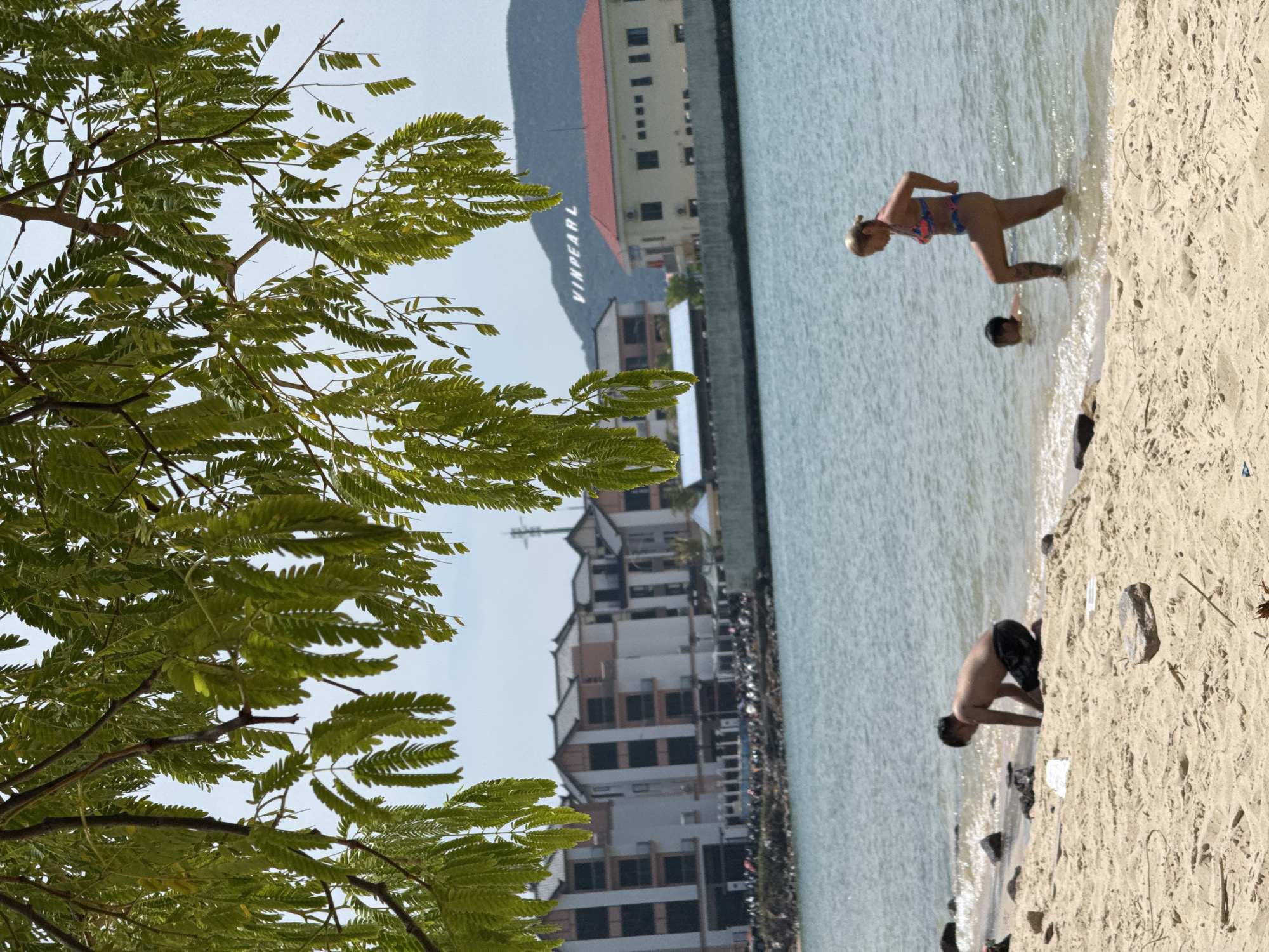 This media file captures a sunny day at a beach in Nha Trang, Vietnam. The foreground is dominated by the lush green foliage of a tree, its leaves framing a view of the ocean and a bustling resort area. In the shallow water near the sandy shore, two individuals are present. One person, wearing a colorful bikini, stands in the water with their back to the camera, appearing to be looking out at the sea. Another person, a young man in dark swim trunks, is crouched down at the water's edge, facing away and seemingly engaged in an activity in the sand or shallow water.
Further in the background, a large, modern resort complex with multiple stories and balconies is visible, nestled against a hillside. The word "VINPEARL" is prominently displayed in large white lettering on the side of the hill, indicating the resort's name and a key landmark of the location. The water is a clear, tranquil blue, with gentle waves lapping at the shore. The bright sunlight suggests it is daytime, likely mid-morning or afternoon, with fair weather. The scene conveys a relaxed vacation atmosphere.