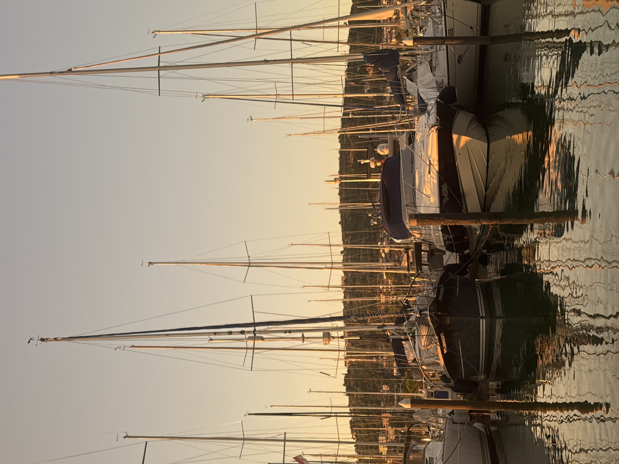 This is a photograph of a marina with numerous sailboats and motorboats docked at sunset. The sky is a clear, pale orange, indicative of the setting sun. The water reflects the boats and the sky, creating shimmering patterns. In the background, a hillside covered in trees and dotted with buildings rises above the marina. The boats are various sizes and colors, with many featuring tall masts. The focus is on the boats and their reflections. The image is taken from a slightly elevated position, looking across the marina.