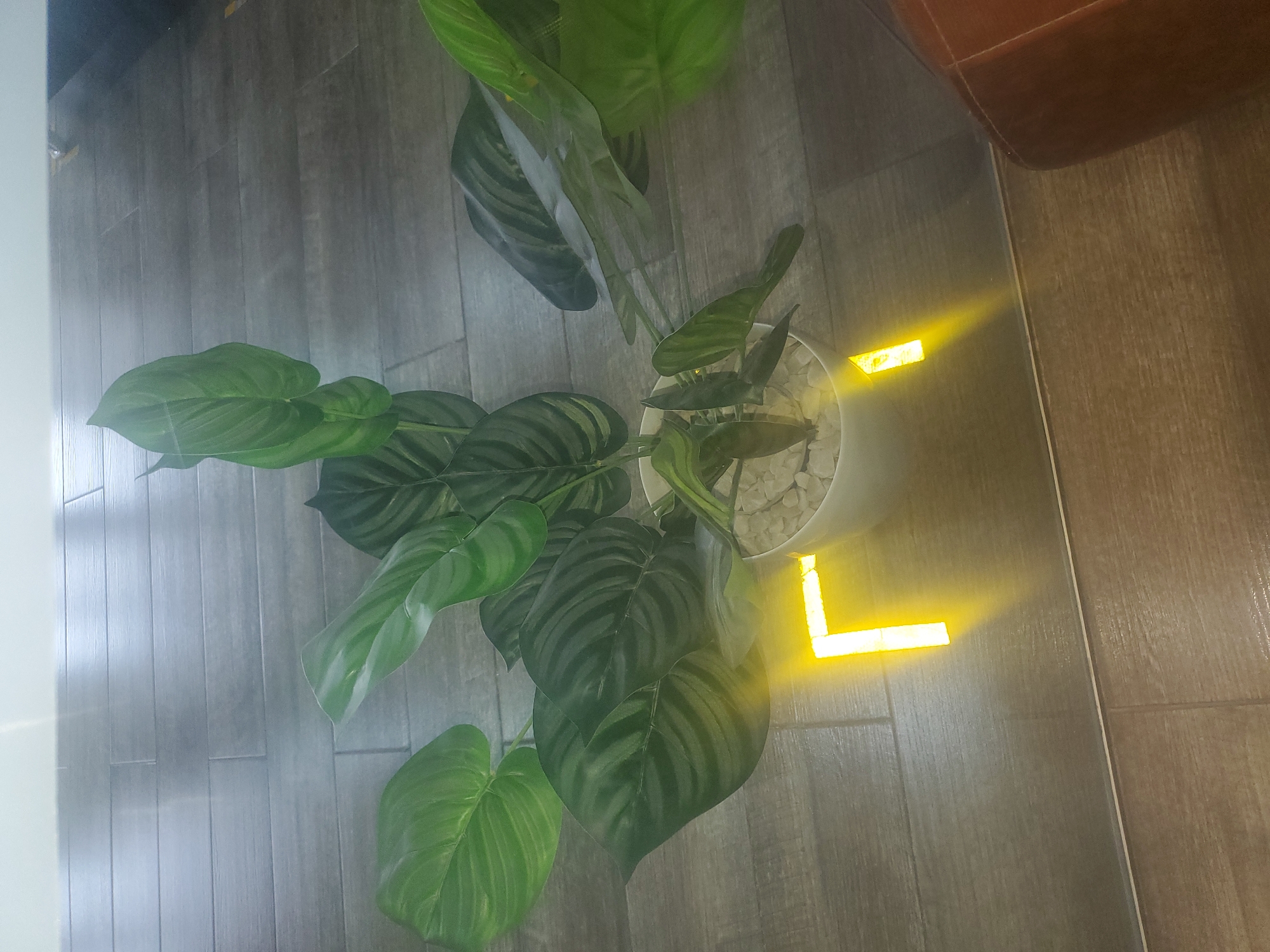 The image shows a potted plant with large green leaves on a tiled floor. There are two glowing yellow L-shaped markers on the floor near the plant. The floor appears to be made of wood-effect tiles. A brown leather chair is partially visible on the right side of the image. The lighting is dim, with bright light emanating from the markers. The environment appears to be indoors, possibly in a home or office setting. The location is identified as Gwagwada, Nigeria.