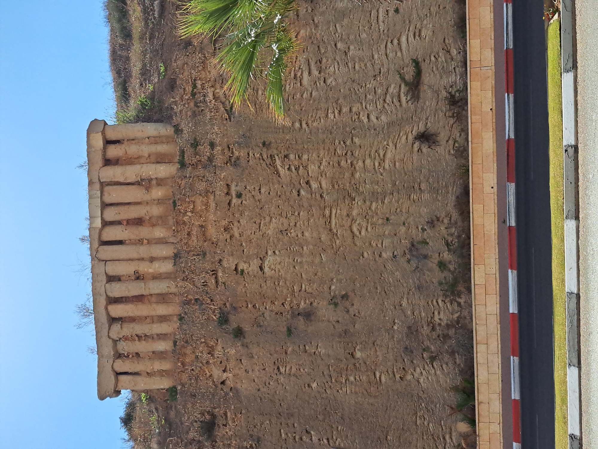 The image depicts a large, weathered stone structure resembling a frieze or architectural remnant on top of a steep, sandy cliff face. The structure is composed of a series of vertical cylindrical elements topped by a rough, horizontal capstone. The cliff itself is textured and shows signs of erosion, with sparse vegetation growing on its surface and near its base.
At the bottom of the image, a street with distinct red and white striped markings and a grey asphalt surface is visible, indicating an urban or semi-urban setting. A low, beige brick wall separates the cliff from the street. To the right, a portion of a green palm frond extends into the frame, suggesting a warm climate.
This specific structure is located on the cliff overlooking the Mediterranean Sea in Herzliya, Israel, and is part of the archaeological site of Tel Arshaf (Apollonia). The weathered stones are remnants of ancient fortifications or structures. The scene is illuminated by bright daylight under a clear blue sky. No people or animals are present.