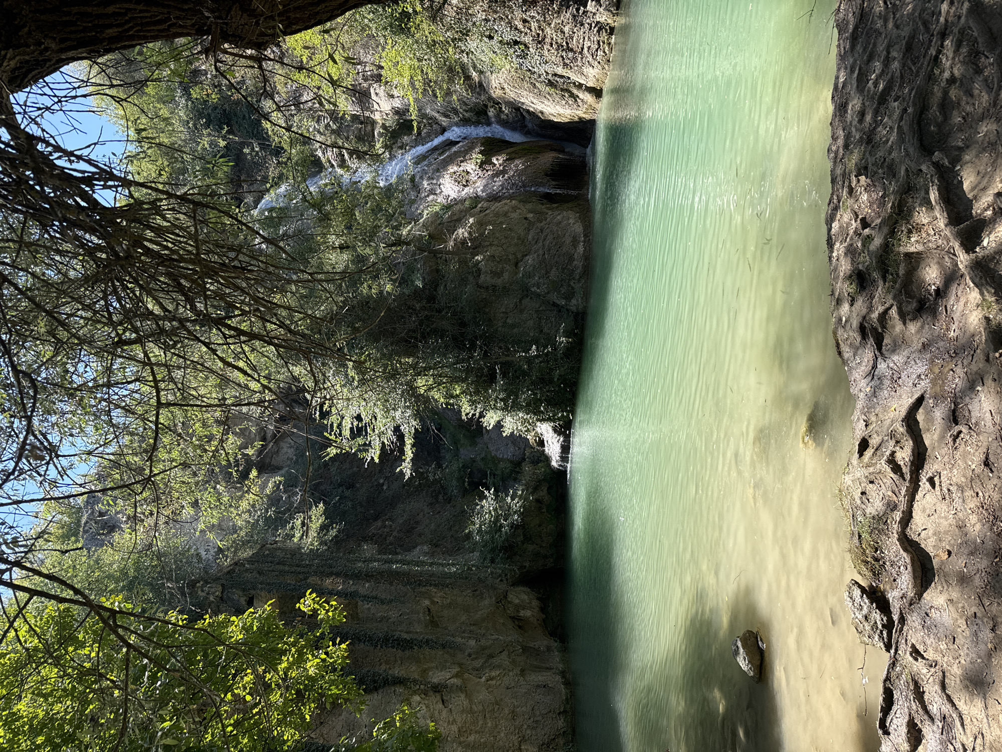 The image shows a view of the waterfall and pool at Hotnitsa village, Bulgaria. A tranquil, turquoise pool occupies the foreground, with visible pebbles and some small fish swimming near the surface. The pool is bordered by a sandy, root-covered shoreline in the immediate foreground, with shadows cast by overhead trees. In the background, a waterfall cascades down a rocky cliff face covered in greenery. The surrounding environment is lush and verdant, with trees and foliage framing the scene under a clear blue sky. The water appears clear and inviting, reflecting the sunlight.