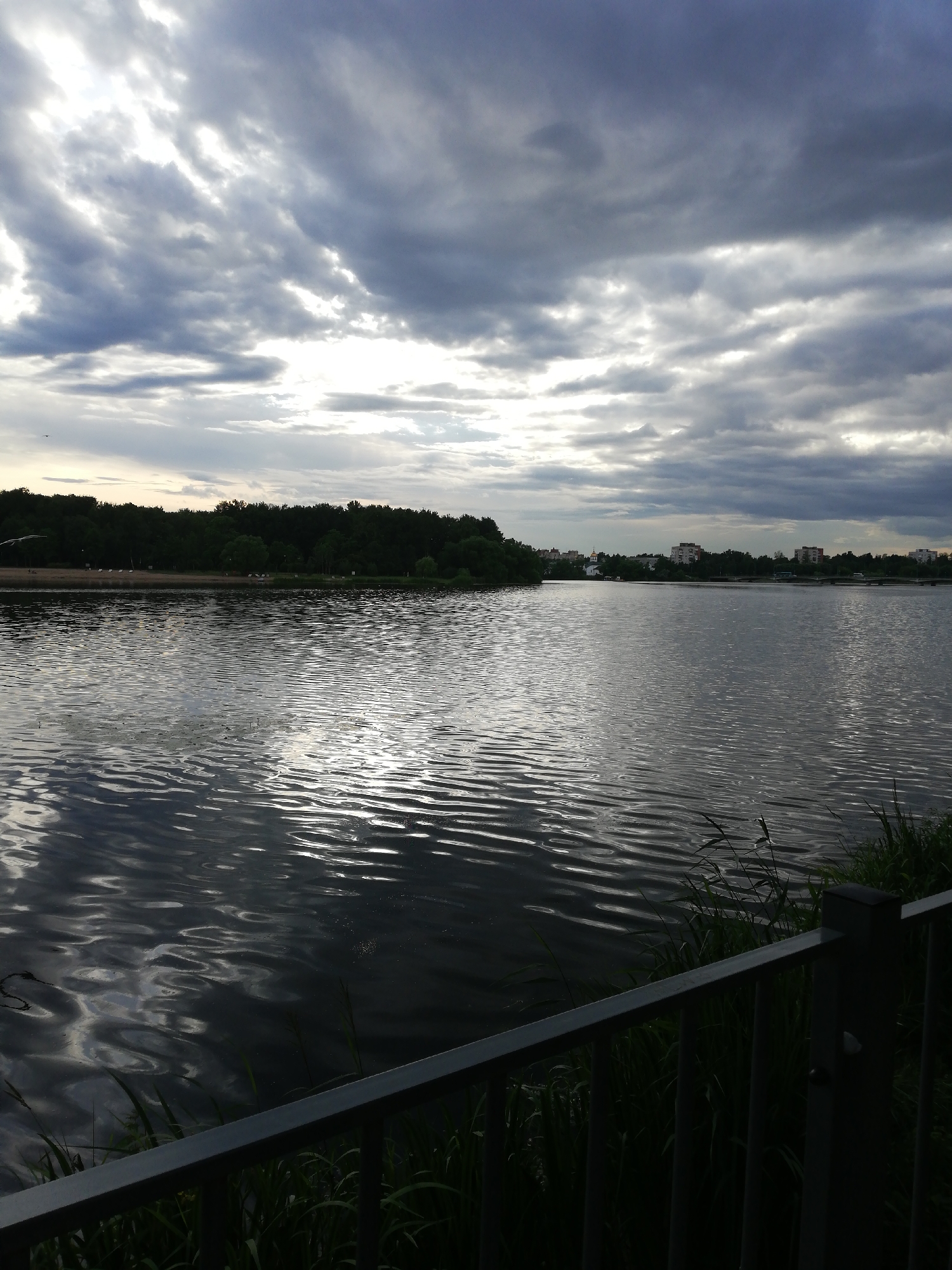 The image depicts a serene lake scene with a dark, cloudy sky overhead. The water's surface is rippled, reflecting the diffused light from the sky. Along the far bank of the lake, a dense line of green trees forms a natural border, with some buildings visible in the distance, suggesting a proximity to an urban area. In the foreground, a dark metal railing runs across the bottom of the frame, partially obscuring a patch of tall green grass. The overall atmosphere is calm and somewhat somber, characteristic of an overcast day. The location is identified as Kolpino, Russia, specifically the area around the Izhora River. There are no people or active subjects visible in the scene, emphasizing the natural and tranquil aspect of the environment.