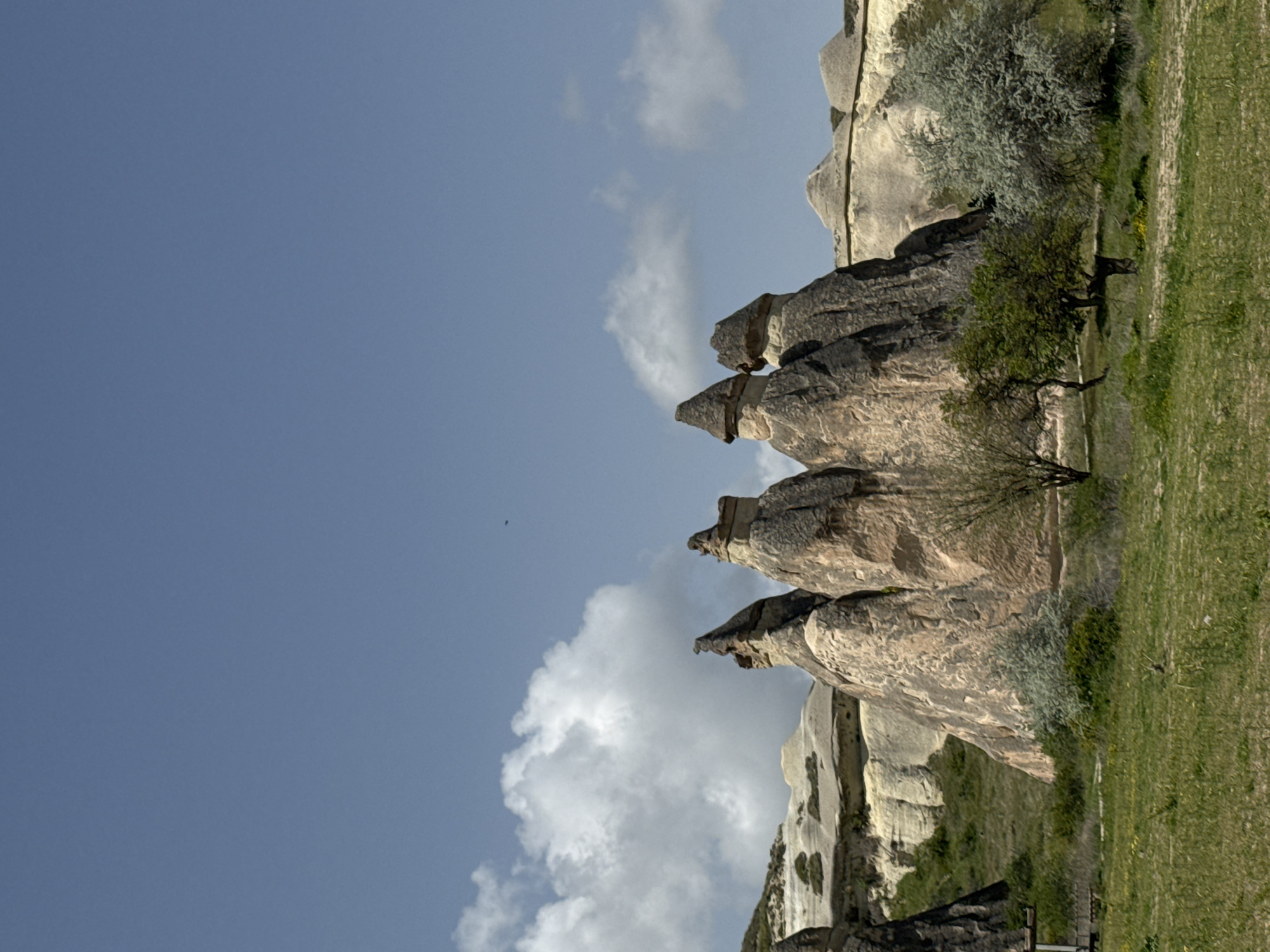 The image captures a view of the fairy chimneys in the Pasabag (Monk's Valley) area of Avanos, Turkey. Three prominent fairy chimneys, typical rock formations of Cappadocia, stand in the foreground, with several more behind them, on the right side of the frame, their shapes sculpted by erosion over time. The sky, a pale blue, occupies much of the left side, with scattered white clouds. To the right, there is greenery: some grass and a few trees.