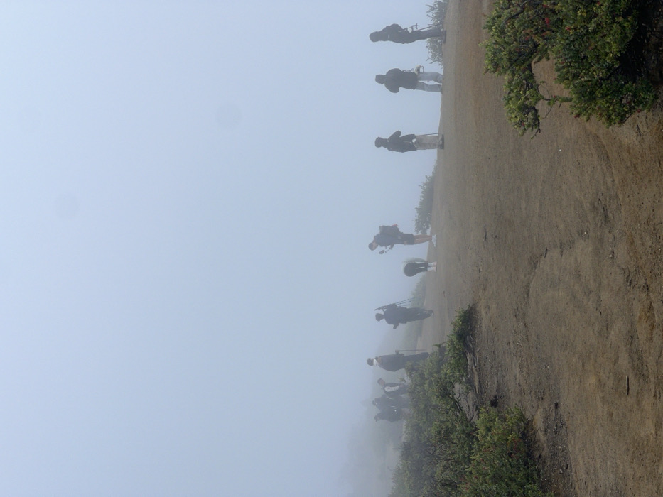 A line of hikers walks along a dirt trail into the fog. The trail has scrubby vegetation on the right and descends into a dense fog on the left. The hikers are spaced apart, with some carrying backpacks and walking sticks. The fog obscures the view and gives the scene a surreal quality. The sky is entirely filled with fog, blending into the diffused horizon.