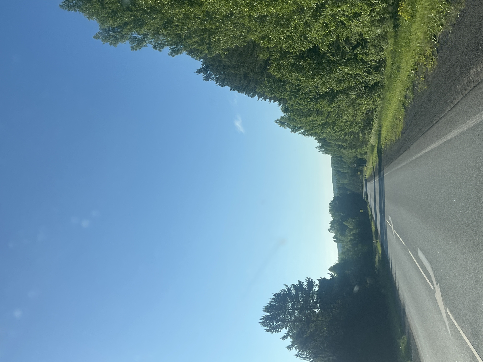 The image shows a two-lane asphalt road winding through a dense forest in Sosnovo, Russia. The road has white lane markings and a single white line on the right edge. The left side of the road is bordered by dark green trees, with a lighter green forest in the background. The right side of the road is lined with tall, lush green trees. The sky is a clear, bright blue with a few wispy white clouds. The sunlight suggests it is daytime. There are no people or vehicles visible in the image. The overall scene depicts a rural, natural environment on a sunny day.