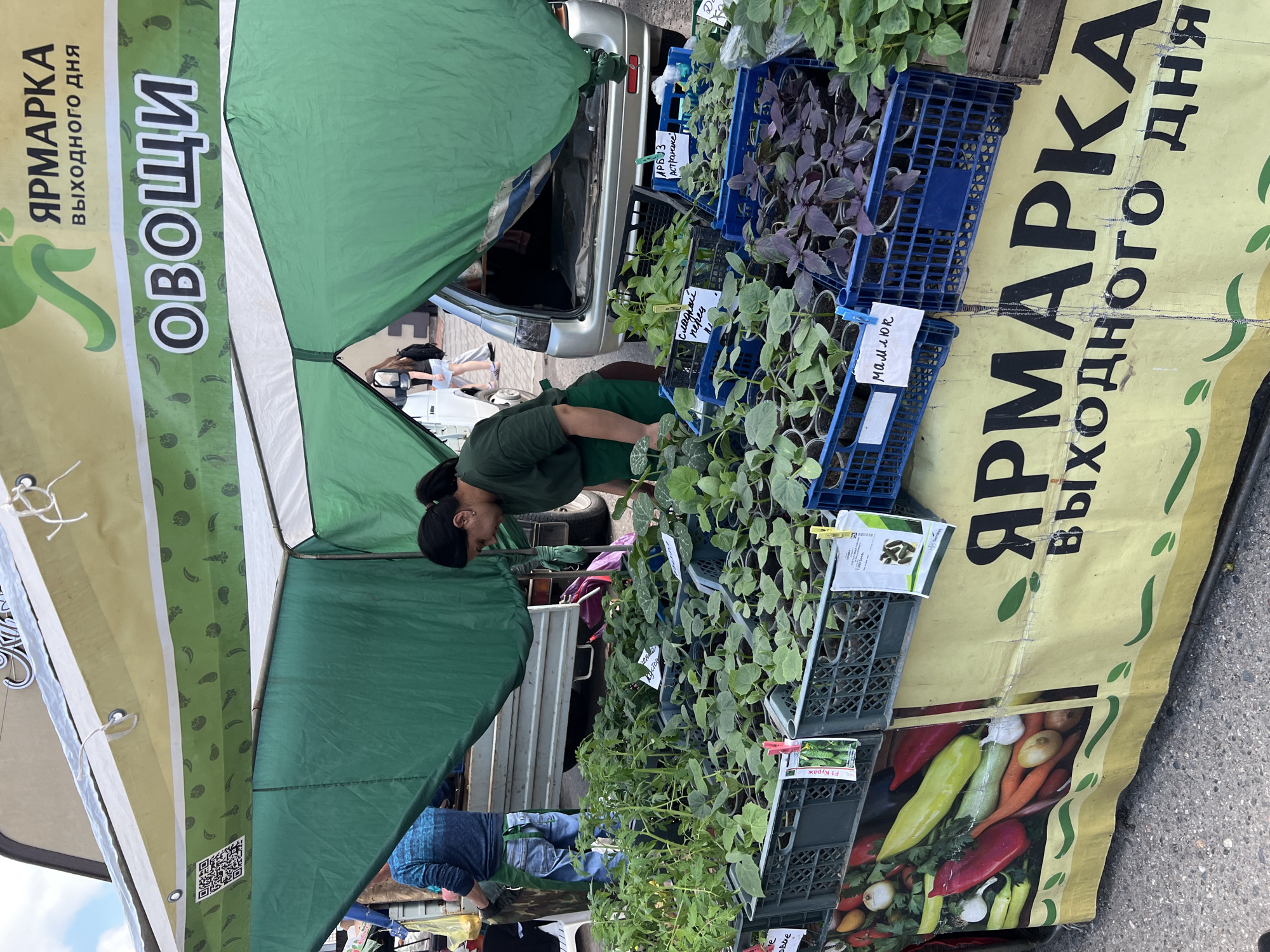 A woman is examining potted plants at a farmer's market booth in Goryachiy Klyuch, Russia. The booth, identified by a banner with the words "ЯРМАРКА выходного дня" (Farmers Market of the Day Off), displays various vegetable seedlings in blue plastic crates, including cucumbers (with a tag "F1 Кураж"), sweet peppers (tag "сладкий перец"), watermelon (tag "АРБУЗ АСТРАХАНЕ") and gourds (tag "мамлюк"). The booth has a green canopy for shade and a banner with vegetable illustrations. The woman is wearing dark clothing and a cap. Other people are partially visible in the background.