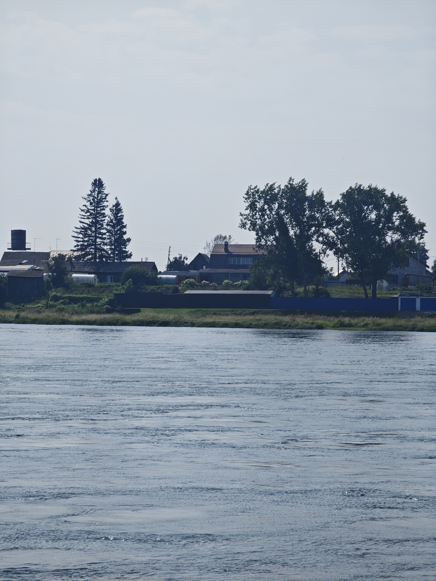 The image captures a view of the Yenisei River in the village of Esaulovo, Krasnoyarsk Krai, Russia. The river occupies the foreground, its surface rippled by the current, reflecting the pale sky. In the middle ground, a grassy bank separates the river from a collection of buildings. These structures include houses with pitched roofs, some with visible windows, and a tall, slender water tower. The architecture suggests a rural or semi-rural setting. Silhouetted against the sky are several trees, some tall and conical like fir trees, others with fuller, broader canopies. In the background, the sky is overcast with a light haze, obscuring the horizon. The overall scene depicts a tranquil, sunlit day in a riverside community.