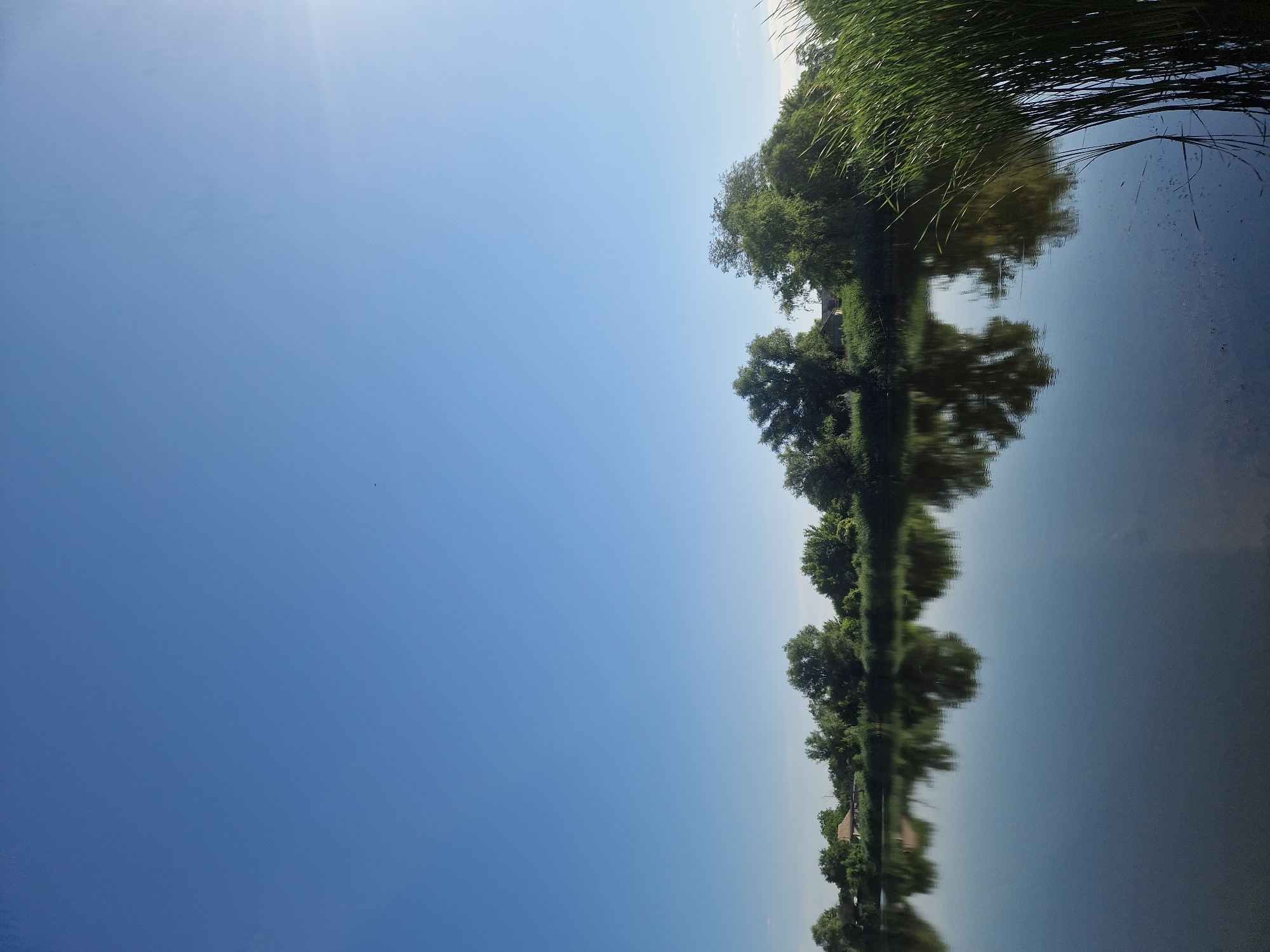 The image captures a serene natural landscape beside a body of water, likely a lake or pond, in the city of Ustyvytsia, Ukraine. The sky is a clear, vibrant blue, with a subtle lens flare appearing in the upper right quadrant. Along the far bank of the water, a dense line of trees and vegetation forms a lush green border. Peeking through the foliage, a few buildings with reddish roofs are visible, suggesting a rural or semi-rural settlement. The water's surface is calm and reflective, mirroring the trees, buildings, and the sky above, creating a symmetrical and tranquil scene. In the foreground, on the right side, tall reeds or cattails stand prominently, their green stalks reaching upwards and casting their own reflections on the water. There are no people or animals visible in the image, and no discernible actions or interactions are taking place. The overall environment is one of peaceful natural beauty.
