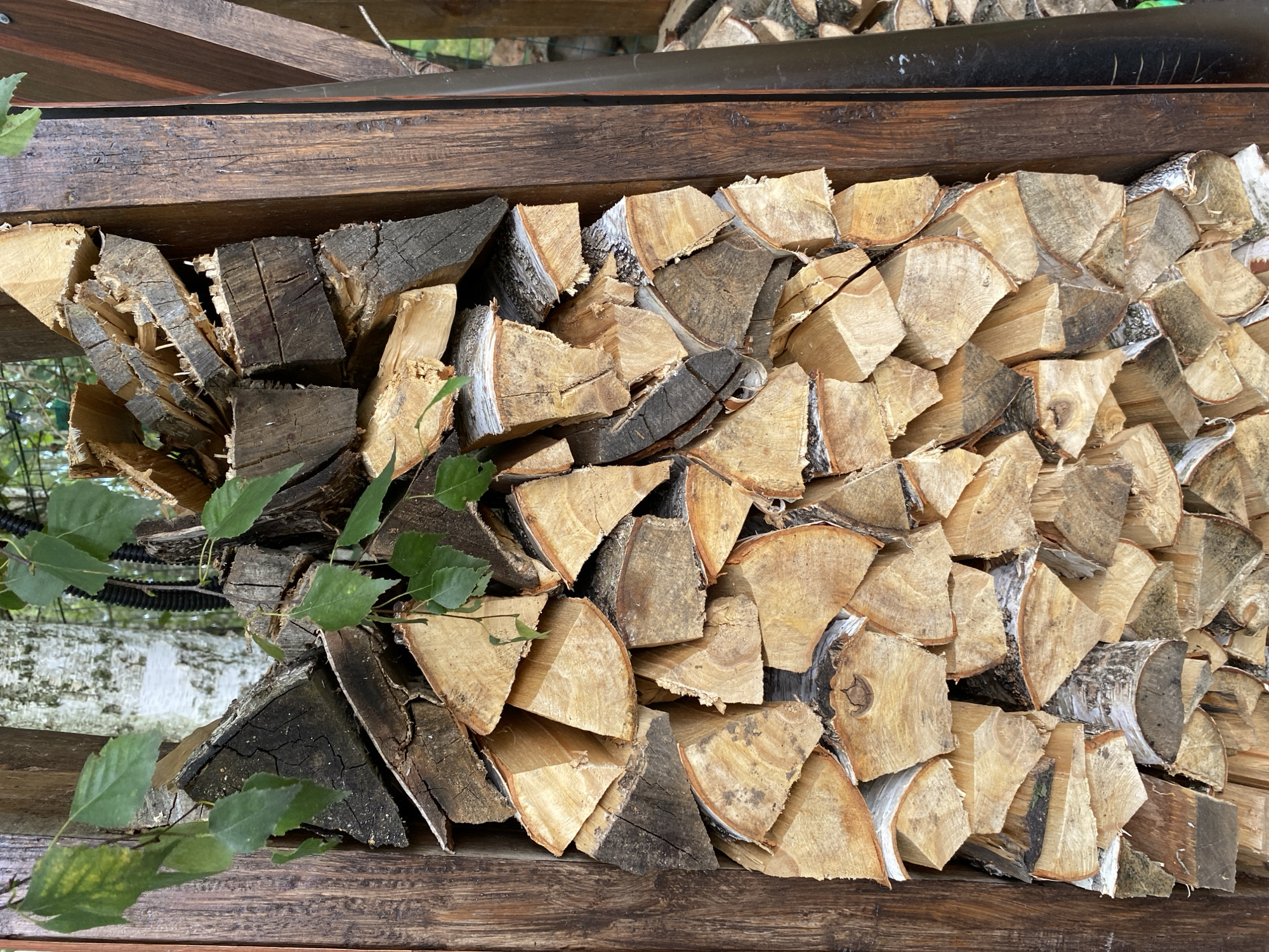 The image shows a close-up, vertical view of a stack of chopped firewood. The firewood is primarily composed of birch logs, evidenced by the white and gray bark visible on some pieces. The logs are various sizes and shapes, most appear to be split in half or quarters, revealing the light-colored wood grain. Some pieces show signs of age and weathering, with cracks and rough edges. The firewood is neatly stacked within a wooden frame, which appears to be made of dark, weathered timber. Green leaves from a nearby tree are visible, hanging down and partially obscuring some of the firewood. In the background, out of focus, is a white birch tree trunk and other foliage. The scene suggests an outdoor setting, possibly a backyard or a storage area for firewood, in a rural or semi-rural location. Based on the provided information, the location is identified as Зимородок Днп, Russia.