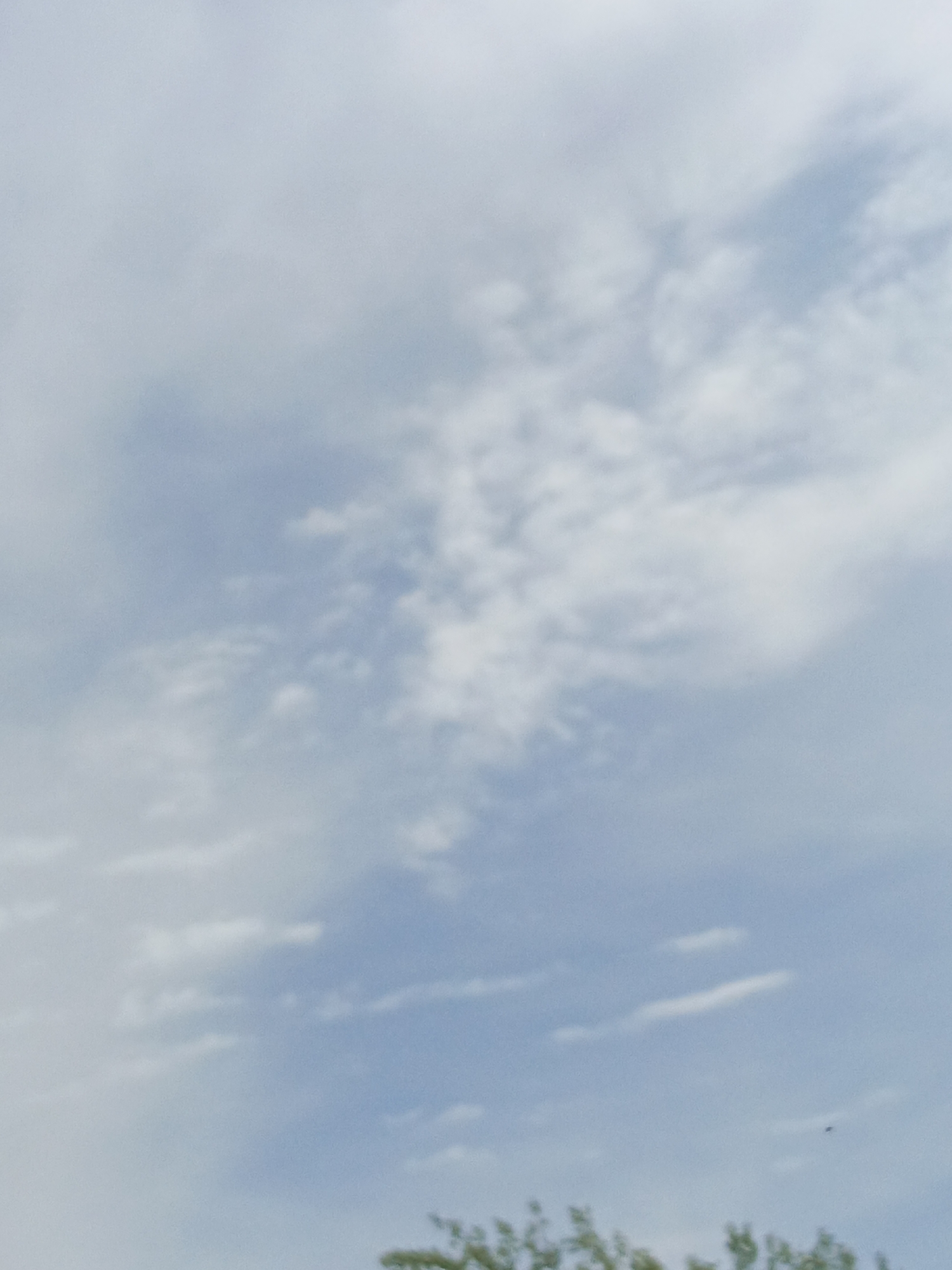 The image shows a sky with patches of white clouds against a blue background. Some green foliage is visible in the lower portion of the image. The location is not specified.