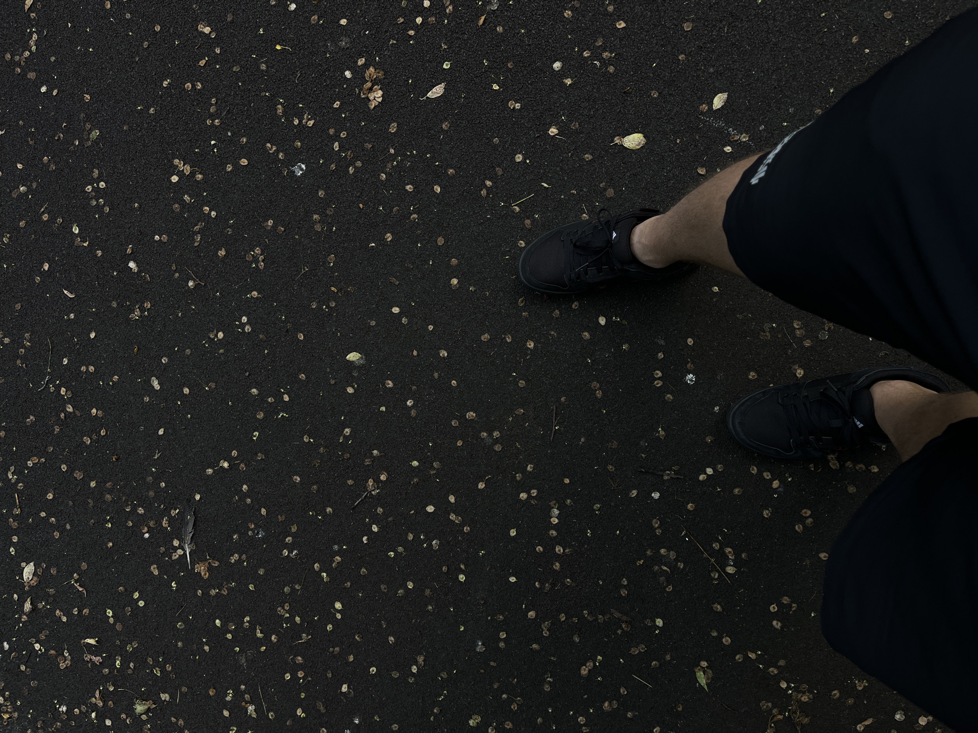 The image is a low-angle, top-down view of a person's legs and feet, walking on a dark, asphalt-like surface. The surface is speckled with numerous small, light-brown, circular debris, possibly dried leaves or seeds, and a few scattered twigs and larger leaves. The person is wearing black athletic shoes and black shorts. The lighting is dim, suggesting an overcast day or evening. The context of Krasnoyarsk, Russia is not discernible from the visual information provided in the image itself.