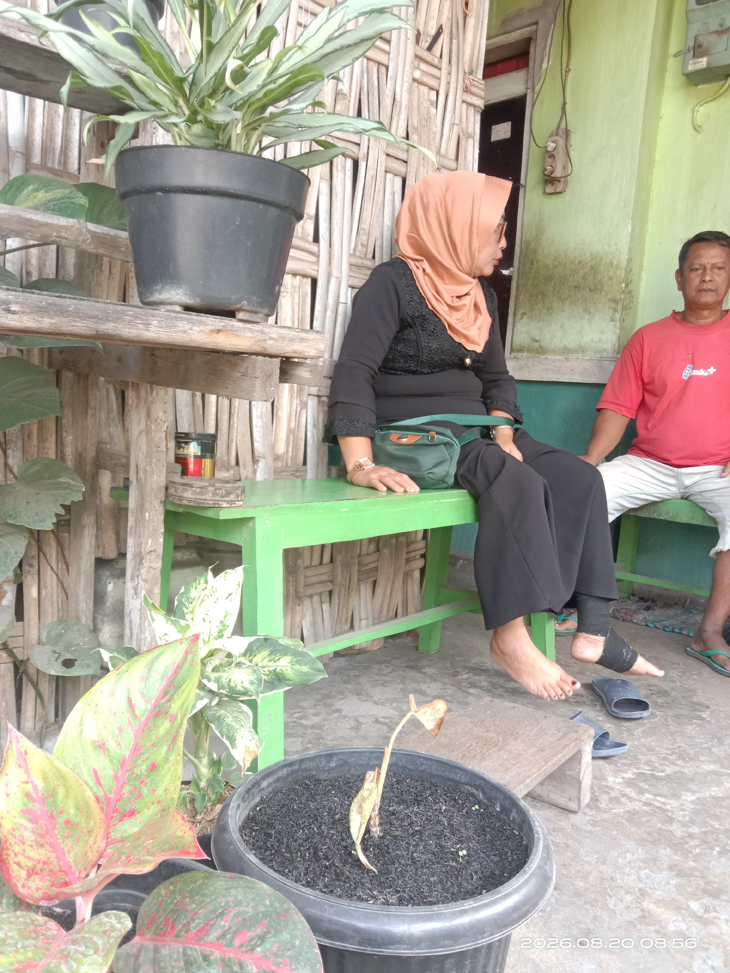 In Gudo, Indonesia, two individuals are seated on a bright green wooden bench. To the left, a woman wearing a rust-colored hijab and a black top with lace detailing sits with her legs crossed. She has a small, dark green bag slung across her body. To the right, a man in a red t-shirt and white shorts is seated. The background features a wall with bamboo matting and a light green painted wall with an electrical outlet visible. In the foreground, various potted plants are present, including a large plant in a black pot on a wooden shelf to the left, and another plant in a black pot on the concrete ground to the right. The overall setting appears to be an outdoor area adjacent to a building.