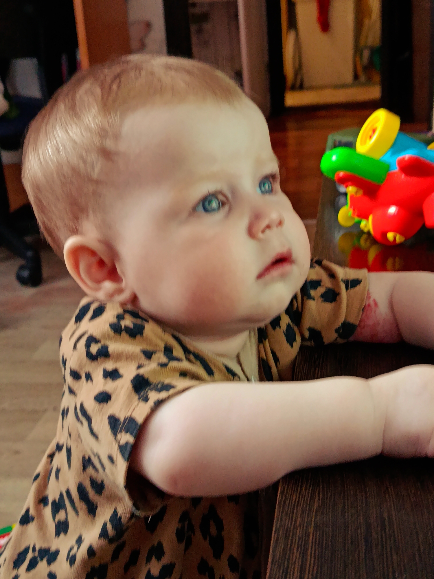 A young child with fair skin, red hair, and blue eyes is standing at a dark wood surface. The child is wearing a brown shirt with black spots, resembling a leopard print. The child's arms are resting on the wood surface. There is a brightly colored toy in the upper right portion of the frame. The background is out of focus, revealing parts of a room with furniture. The location is unknown.