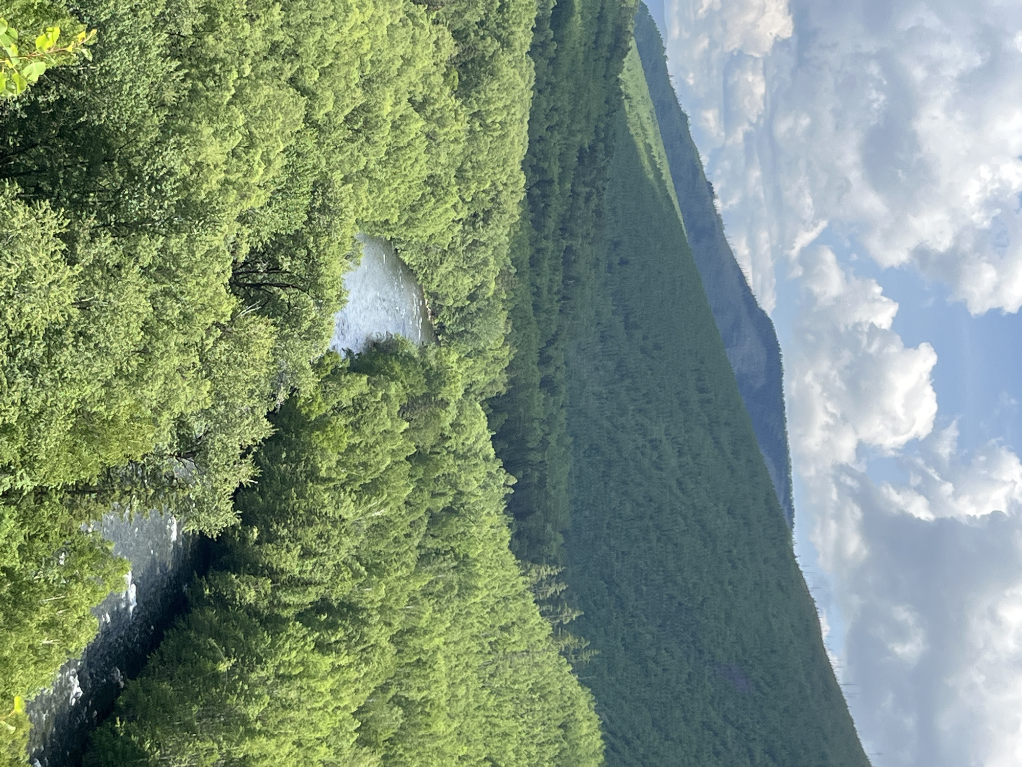 This is an aerial, wide-angle shot of a lush, forested mountain landscape in Russia. The scene is dominated by rolling green hills covered in dense foliage, with a winding river flowing through the center of the frame. The river, appearing dark with white ripples, cuts through the vibrant green trees. In the background, higher mountains rise, also covered in trees, with some bare patches visible on their slopes. The sky above is a mix of blue with scattered white clouds, some of which are casting shadows on the mountains. The overall impression is one of a wild, natural environment, likely a remote or protected area.