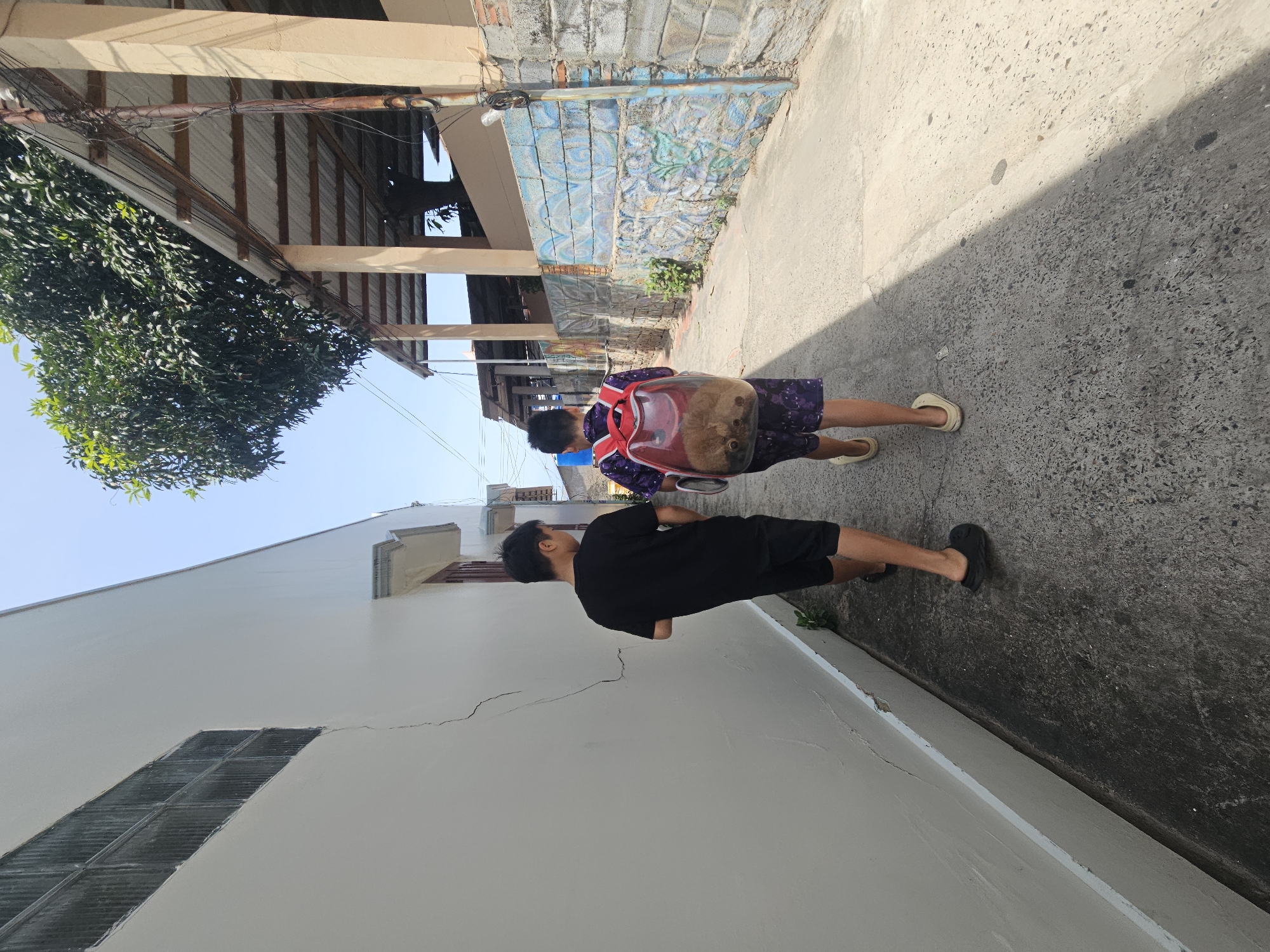 In Phu Thuy Ward, Vietnam, two young boys walk down a narrow, paved alleyway. The boy on the left, wearing a black t-shirt and black shorts, walks ahead of the boy on the right. The boy on the right, wearing a purple patterned shirt and shorts, carries a clear, bubble-shaped backpack with a red frame, which contains what appears to be a small animal, possibly a cat, visible inside. The alley is bordered on the left by a white, stucco-walled building with a cracked section and a small window. On the right, the alley is bordered by a low, colorful wall with blue and green mural-like decorations, followed by a building with a corrugated metal roof supported by beige pillars. A large tree with dense foliage extends over the right side of the alley. The ground is a rough concrete surface, with a distinct shadow line cutting across it, indicating a bright, sunny day. Overhead, power lines are visible against a clear blue sky.