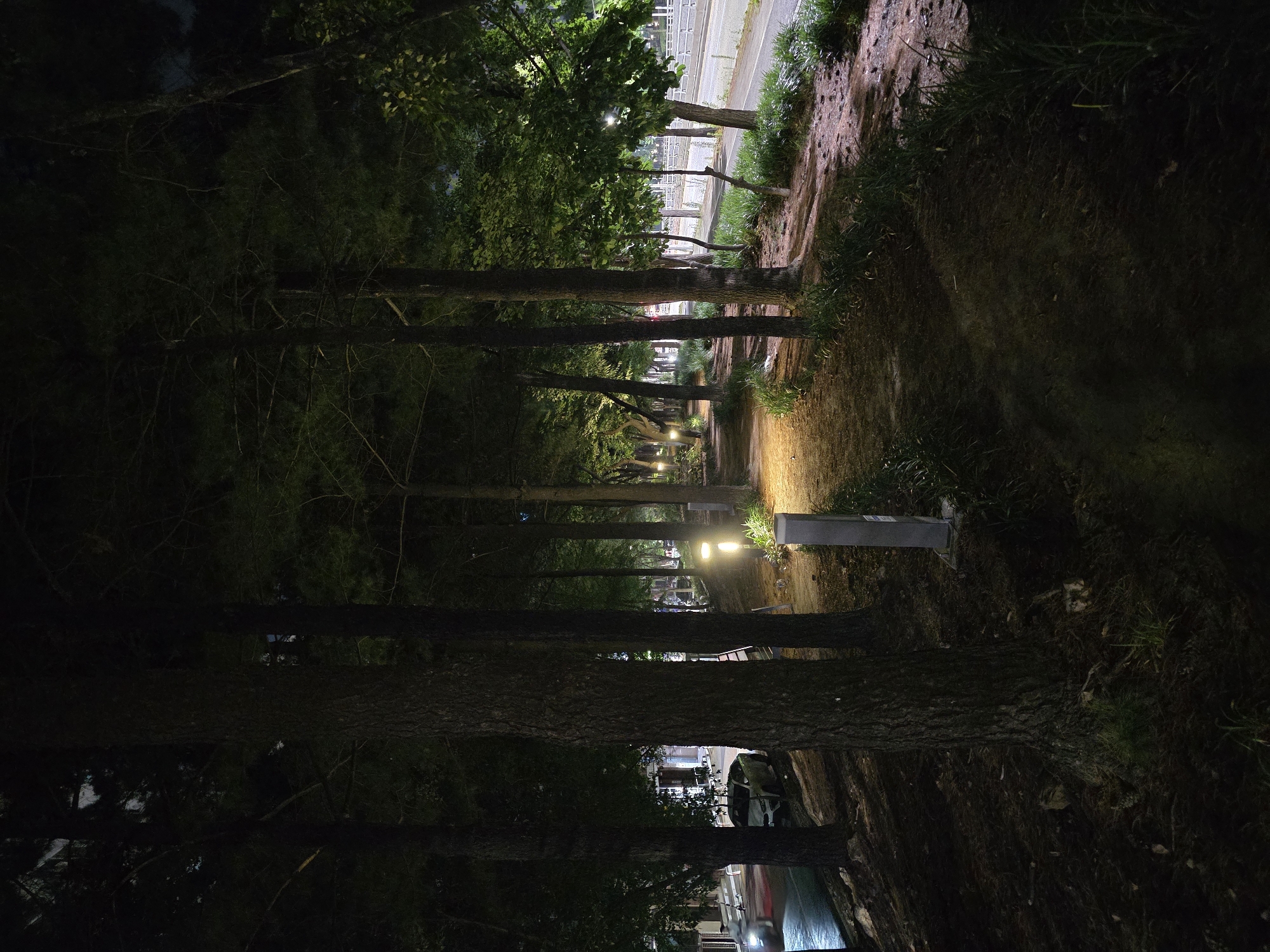 The image depicts a dimly lit path lined with trees at night, alongside a road with streetlights. In the background, a white car is parked on the side of the road, and a person on a motorcycle is visible passing by. The path appears to be made of dirt and pine needles, with sparse grass growing along the edges. Several modern-looking lampposts are intermittently placed along the path. The scene is set in a semi-urban environment, possibly a park or a residential area, within the city of Daejeon, South Korea, given the overall atmosphere and visible urban elements.