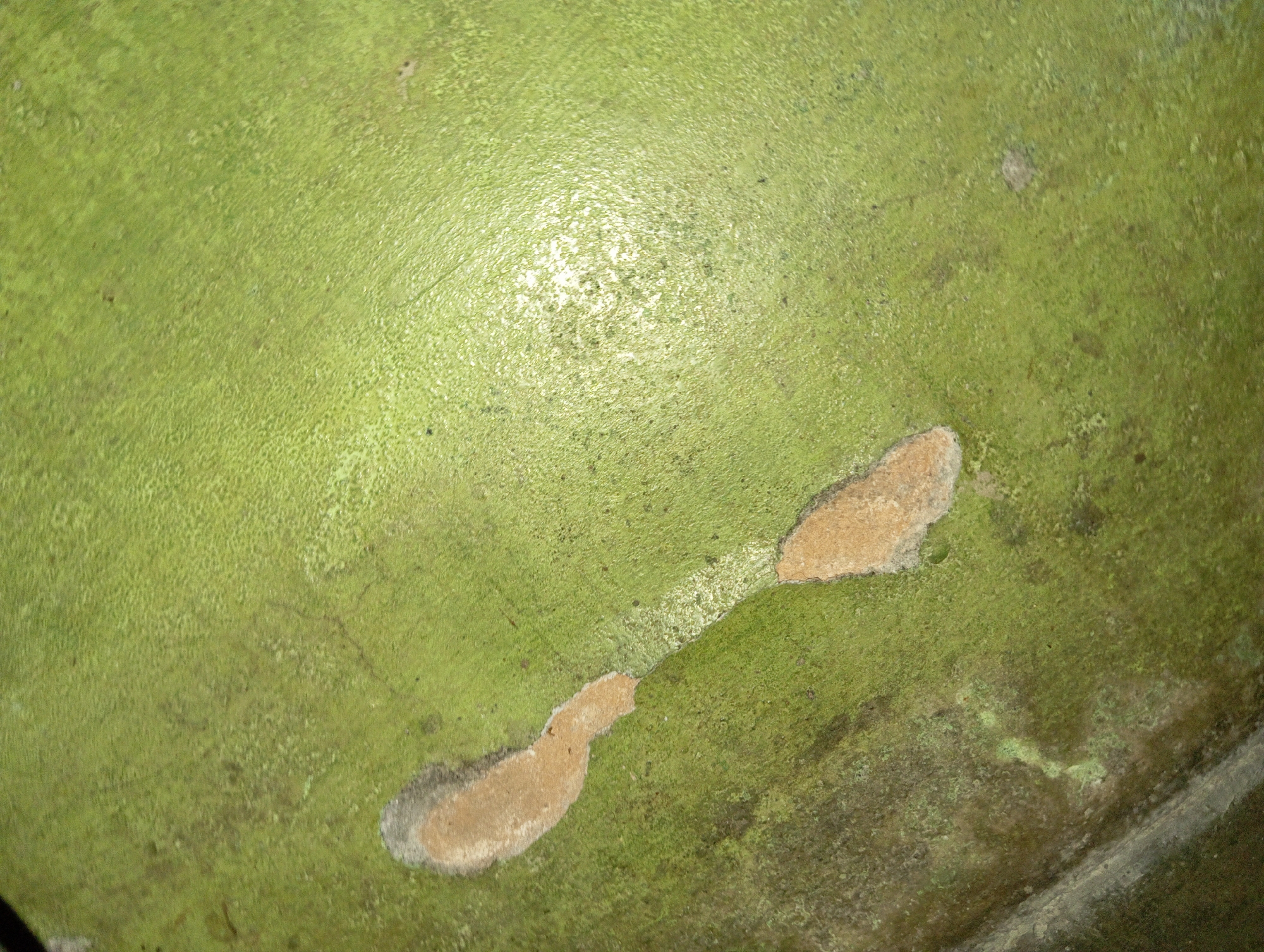 The image displays a close-up, overhead view of a weathered, textured green surface. The surface appears to be slightly curved and has an uneven, mottled appearance. Two distinct areas of lighter, sand-colored material are visible, one larger and elongated, the other smaller and more rounded. These areas suggest wear or damage to the green surface. The overall color palette is dominated by various shades of green and tan. There are no people, structures, or recognizable city elements visible in the image, making it impossible to determine its location within Rejosari, Indonesia.