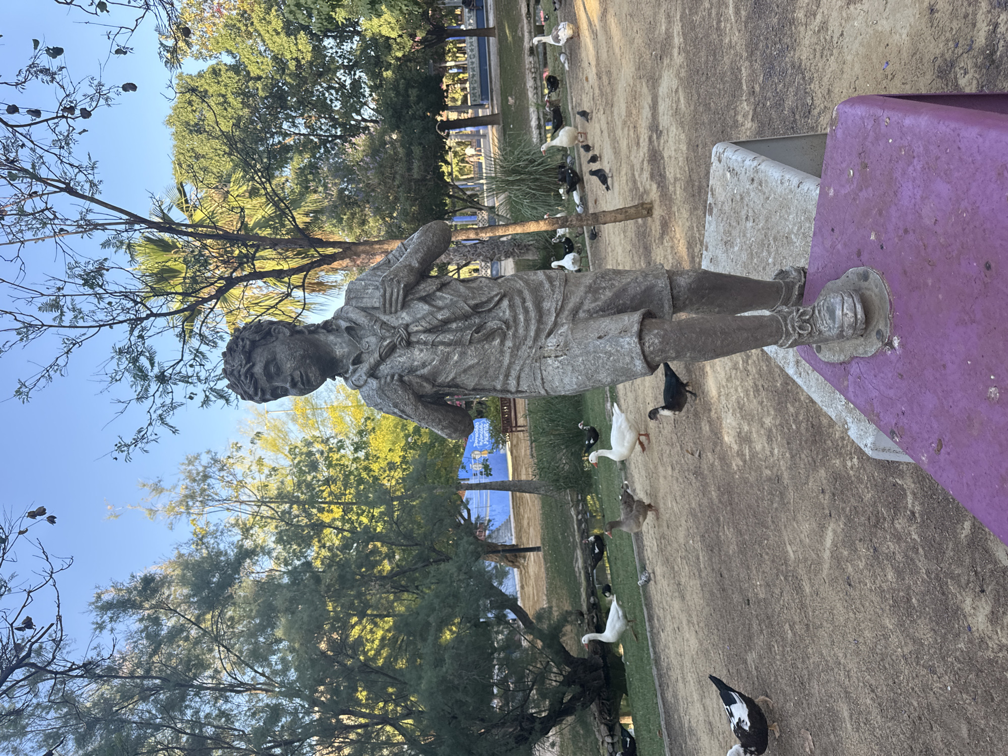 In the city of Murcia, Spain, a bronze statue of a young boy, possibly a scout, stands on a pedestal in a park. The statue depicts the boy in shorts, a shirt, and a scarf knotted around his neck. He is wearing sturdy boots, and his gaze is directed forward and slightly to his left. Around the statue, a flock of ducks and pigeons are scattered across the dusty ground. Some ducks are near a small body of water to the left of the statue, while others are closer to the foreground. The park itself is characterized by lush greenery, with trees and palm trees forming a backdrop under a clear blue sky. In the background, there is a blue structure with some text and a park bench. The overall scene suggests a peaceful, outdoor setting within a city park.