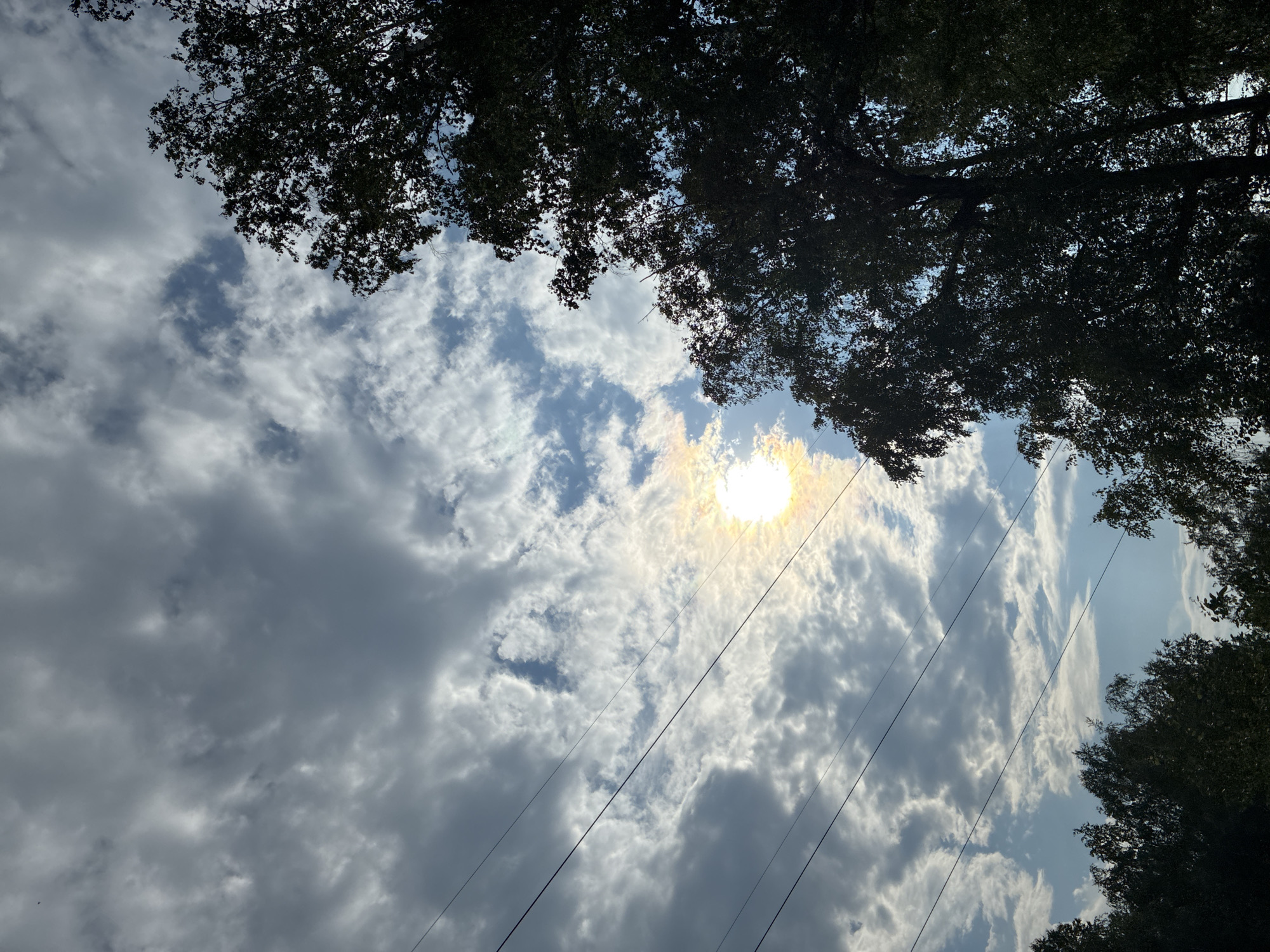 The image depicts a view of the sky in Markova, Russia, with scattered clouds and the sun partially obscured. Several power lines stretch horizontally across the frame. Silhouetted trees, dark green with dense foliage, occupy the right and lower portions of the image. The overall scene is outdoors and appears to be taken during daylight hours.