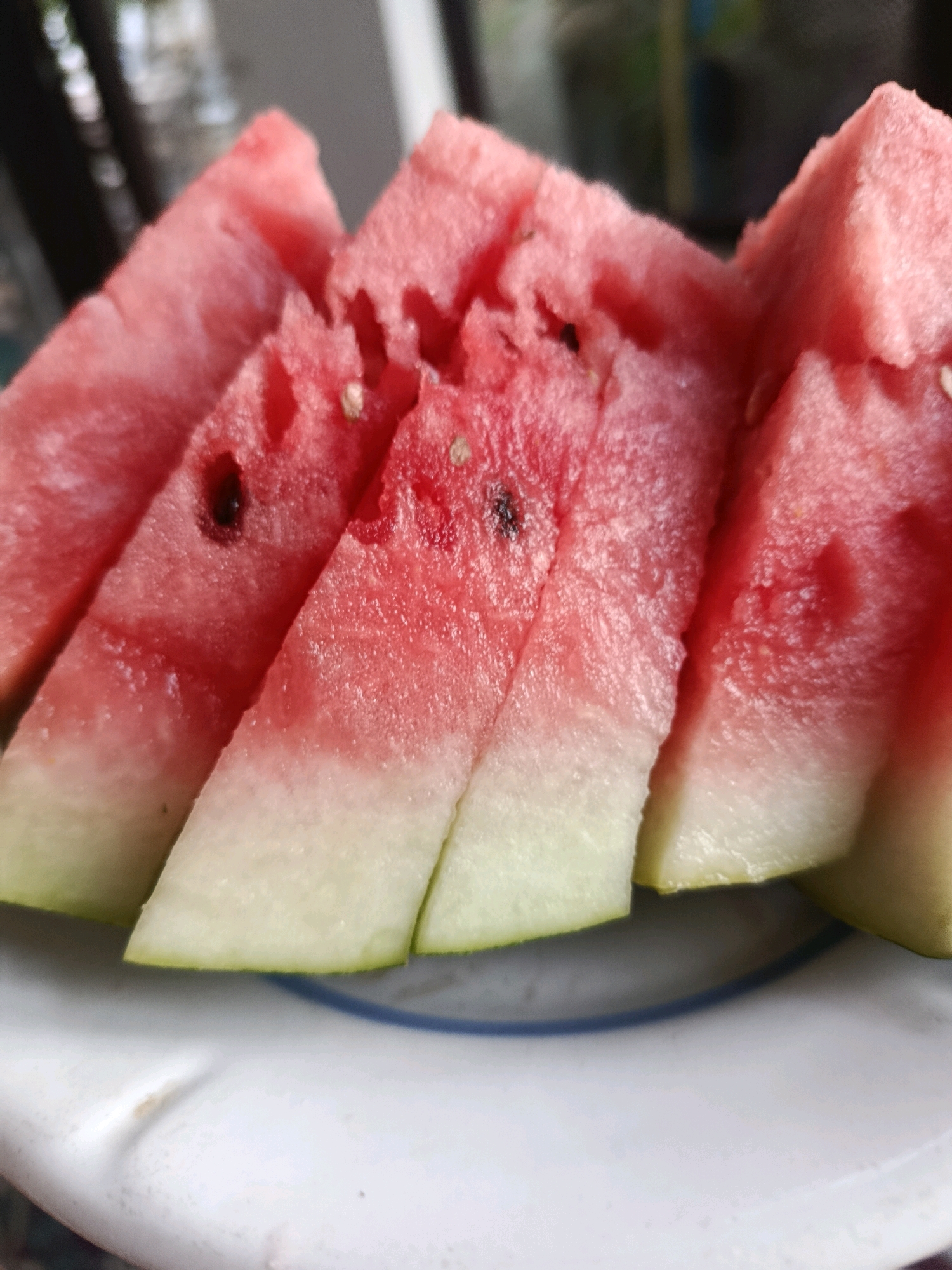 A close-up, low-angle shot captures several triangular slices of watermelon arranged on a white plate with a blue rim. The watermelon flesh is a vibrant pink, transitioning to a pale green rind at the bottom of each slice. A few dark watermelon seeds are visible embedded in the flesh. The background is blurred, suggesting an outdoor setting, possibly in Nookat, Kyrgyzstan, with hints of natural light and foliage. The focus is entirely on the watermelon slices, with no people or discernible actions present. The lighting is natural and appears to be daylight.