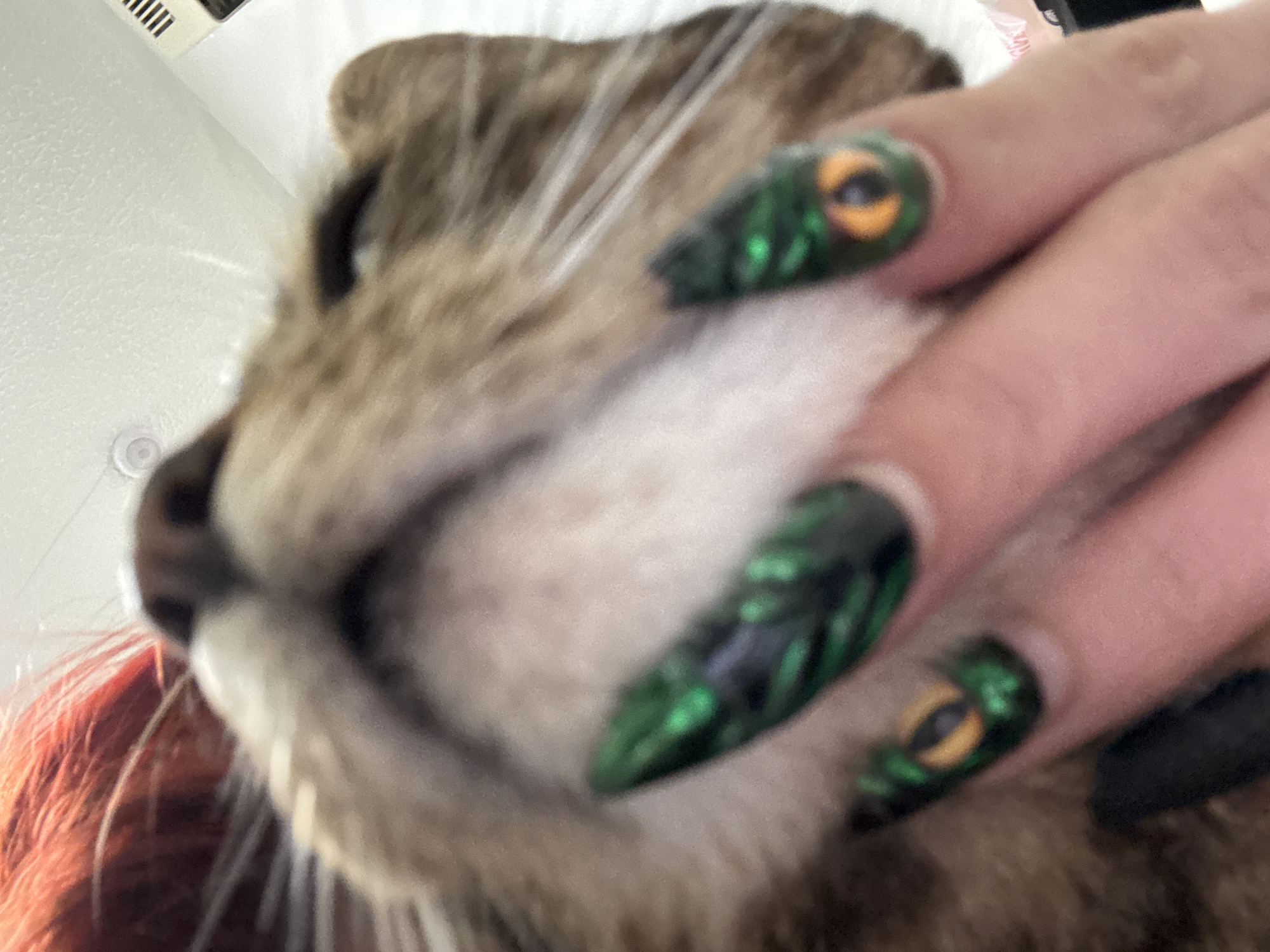 A close-up, low-angle shot focuses on a domestic cat's face, with a person's hand and fingers intruding into the frame. The cat has brown and white fur, prominent whiskers, and a blurred appearance due to the proximity of the camera. The person's hand features three visible fingernails, each adorned with dark green nail polish and a painted design resembling an eye. A hint of red hair is visible near the bottom left of the frame. The background is blurry and includes a white surface with a vent. There is no information available to suggest that this image was taken in the city of Desborough, United Kingdom.