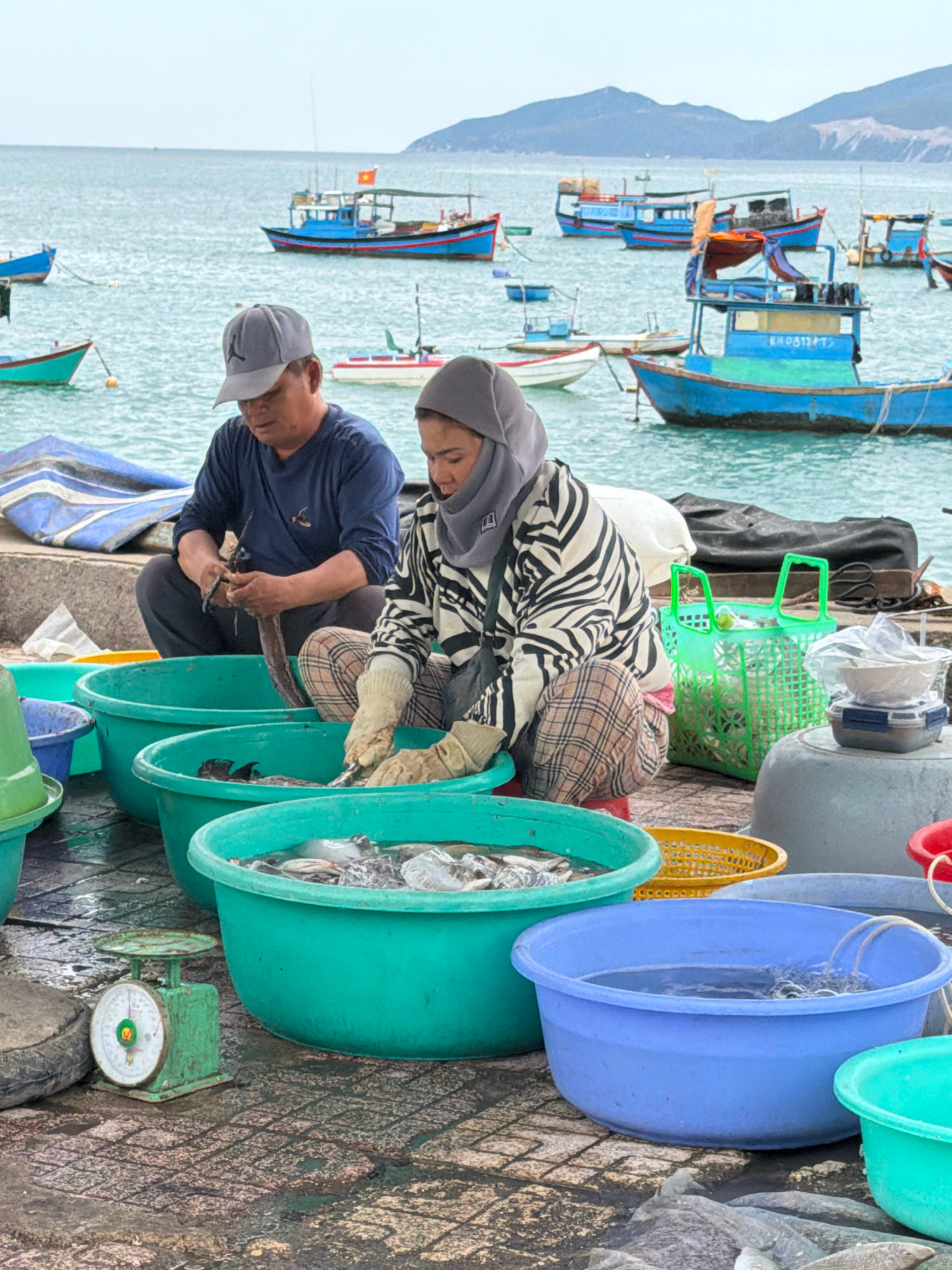 At a busy Nha Trang fishing port, two individuals are engaged in sorting freshly caught seafood. In the foreground, a man wearing a blue shirt and a gray baseball cap is seated, meticulously preparing a long, dark-colored eel. Beside him, a woman, dressed in a black and white striped top and a gray hijab, is working with gloves, handling smaller fish in a large teal basin. Surrounding them are numerous large teal and blue plastic tubs filled with various types of fish and water, reflecting the day's catch. A green scale is positioned to the left of the man, suggesting weighing operations. In the background, a fleet of colorful fishing boats are anchored in the turquoise sea, with lush green hills visible on the horizon. The ground is paved with textured bricks, some areas appearing wet from the seafood processing.