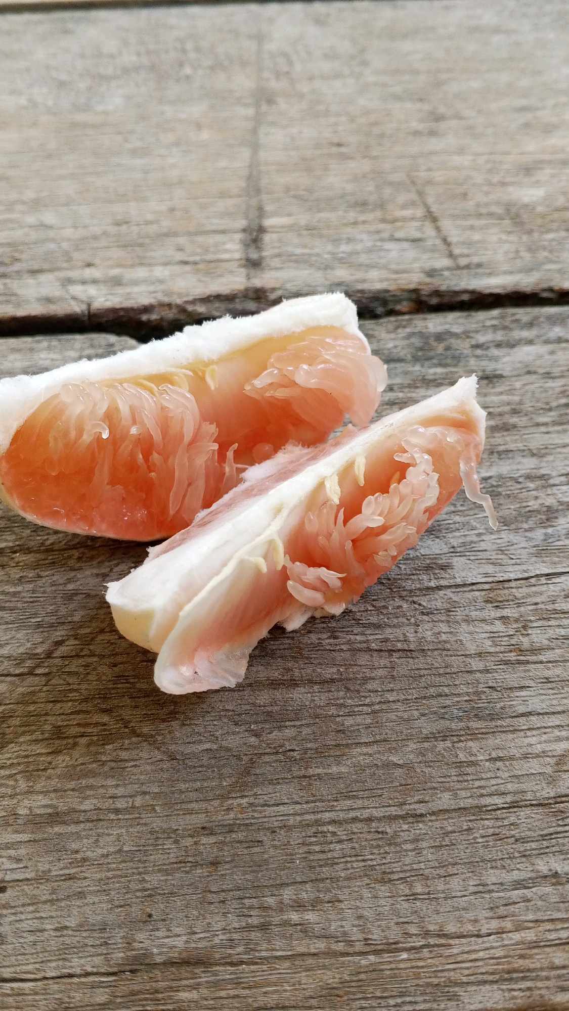 Two segments of pink grapefruit lie on a weathered wooden surface. The grapefruit pieces are moist and appear to have been recently cut. The wood has a visible grain and some texture, suggesting it is an outdoor table or bench. There are no people or other objects in the frame. The scene is well-lit, with a natural light source casting subtle shadows.