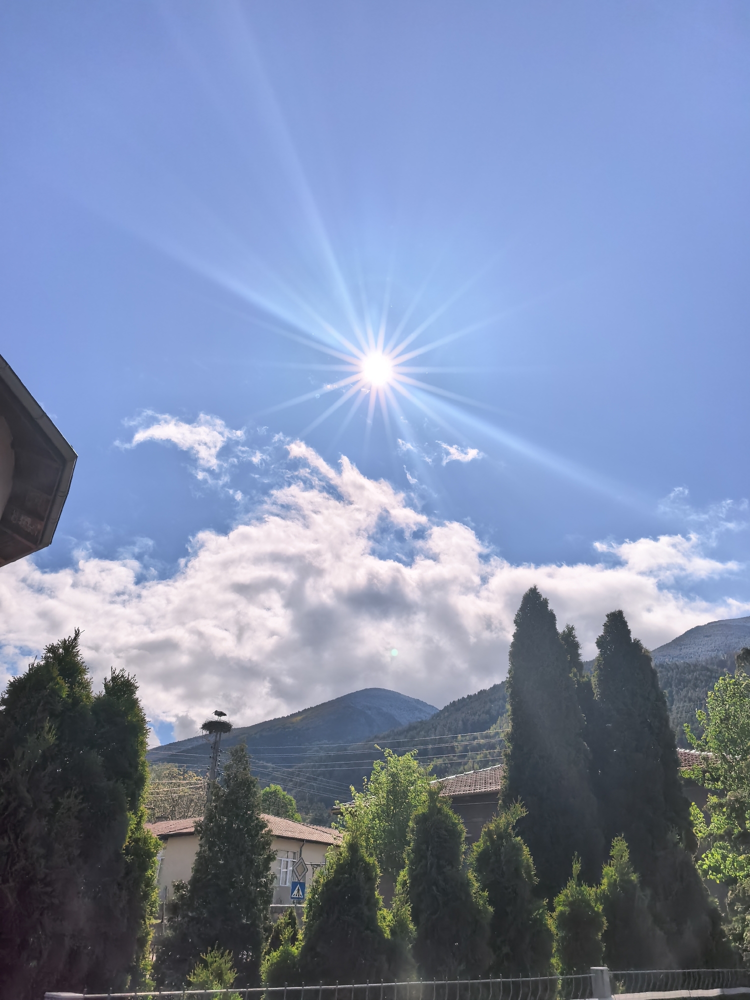 The image depicts a bright sunny day in Ovchartsi, Bulgaria. The sky is blue with some scattered white clouds. The sun is high in the sky, radiating light rays. In the foreground, there are several tall, dark green, conifer trees lining the bottom of the frame. Behind the trees, there are buildings with red-tiled roofs and light-colored walls. A stork's nest sits atop a utility pole and a pedestrian crossing sign is visible near one of the buildings. A mountain range can be seen in the background. Electrical wires span across the sky. A small part of a building roof on the left side of the image.