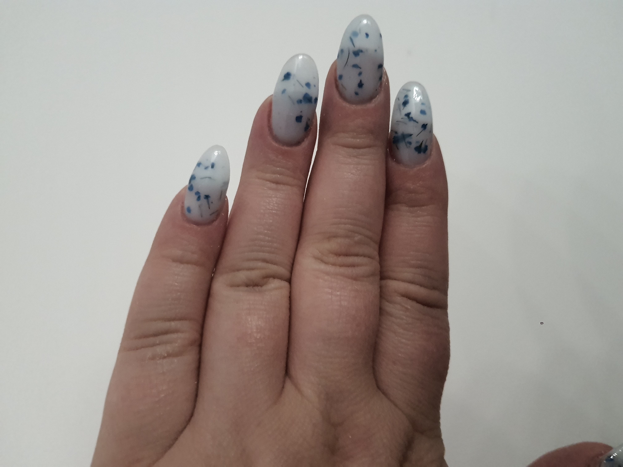 A person's hand is shown against a plain, white background. The hand is positioned horizontally, with the fingers curled inwards. The nails are painted with a clear or light-colored polish, embedded with small, dark blue flower petals or flakes. The skin of the hand appears to be fair-toned. There are visible creases and lines on the fingers. The image is an extreme close-up of the hand and nails.