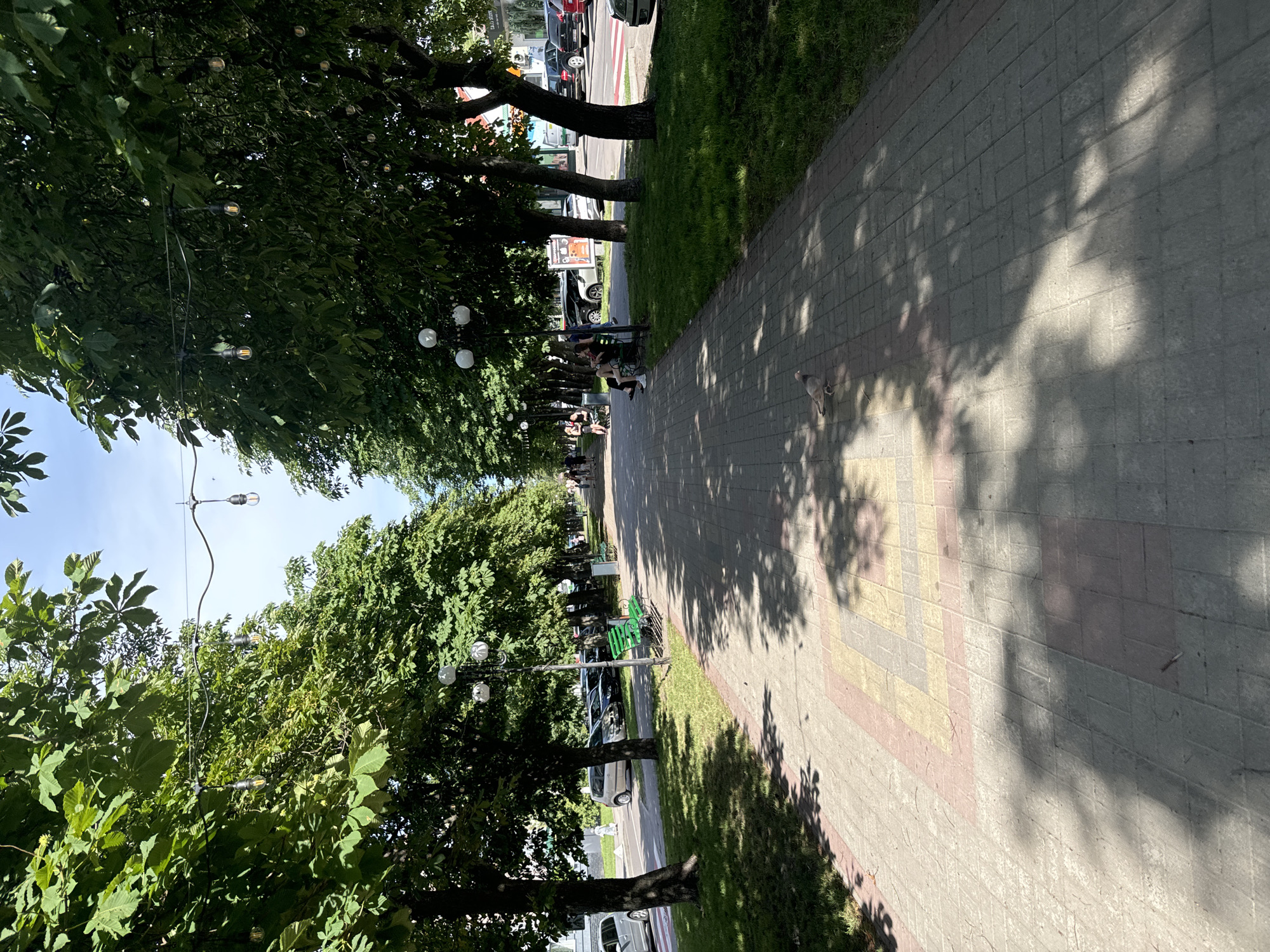 The image shows a pedestrian walkway lined with trees and parked cars on the side of the road. There are people walking and sitting on benches along the walkway. The walkway is paved with interlocking bricks, and there is a grassy area next to it. Decorative lights are strung overhead. The scene appears to be in a public park or a tree-lined street in the city of Sarny, Ukraine, on a sunny day.
