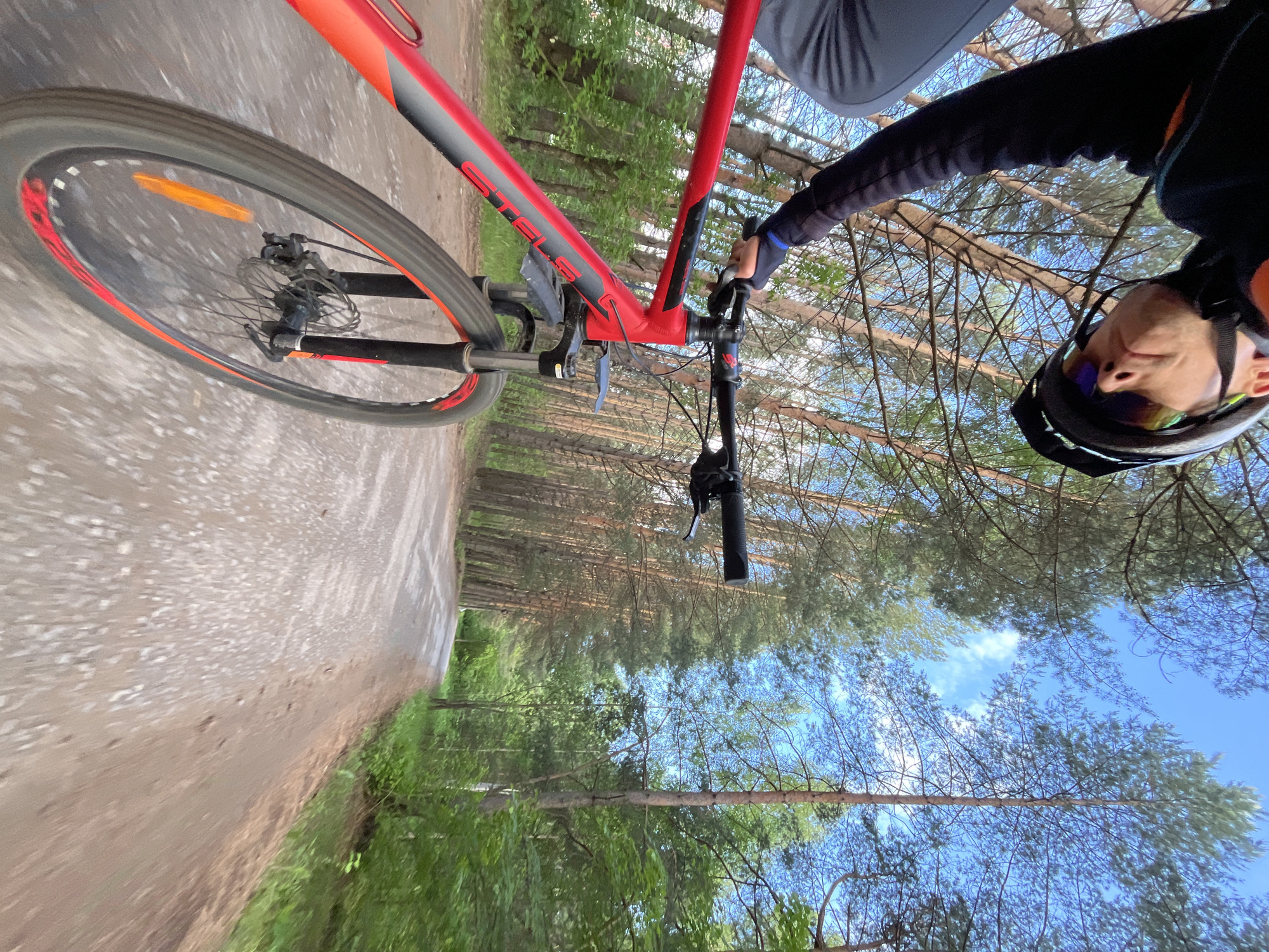 A first-person perspective, rotated 90 degrees clockwise, shows a person riding a red and black mountain bike on a dirt path through a forest in Chaikovsky, Russia. The cyclist's head, wearing a black helmet with reflective goggles, and upper body are visible on the right side of the frame, with an arm holding the handlebars. The bright red bicycle frame, clearly displaying the brand name "STELS" in black letters, dominates the foreground. The bike's front wheel, featuring red and black accents and an orange reflector, is in motion, indicated by a slight blur on the ground. Disc brakes are visible on the front wheel mechanism. The setting is a natural forest environment, with tall pine trees and green foliage lining the dirt road. Above the treeline, a clear blue sky with sparse white clouds suggests sunny weather during daytime. The image captures the activity of mountain biking through a scenic woodland trail.