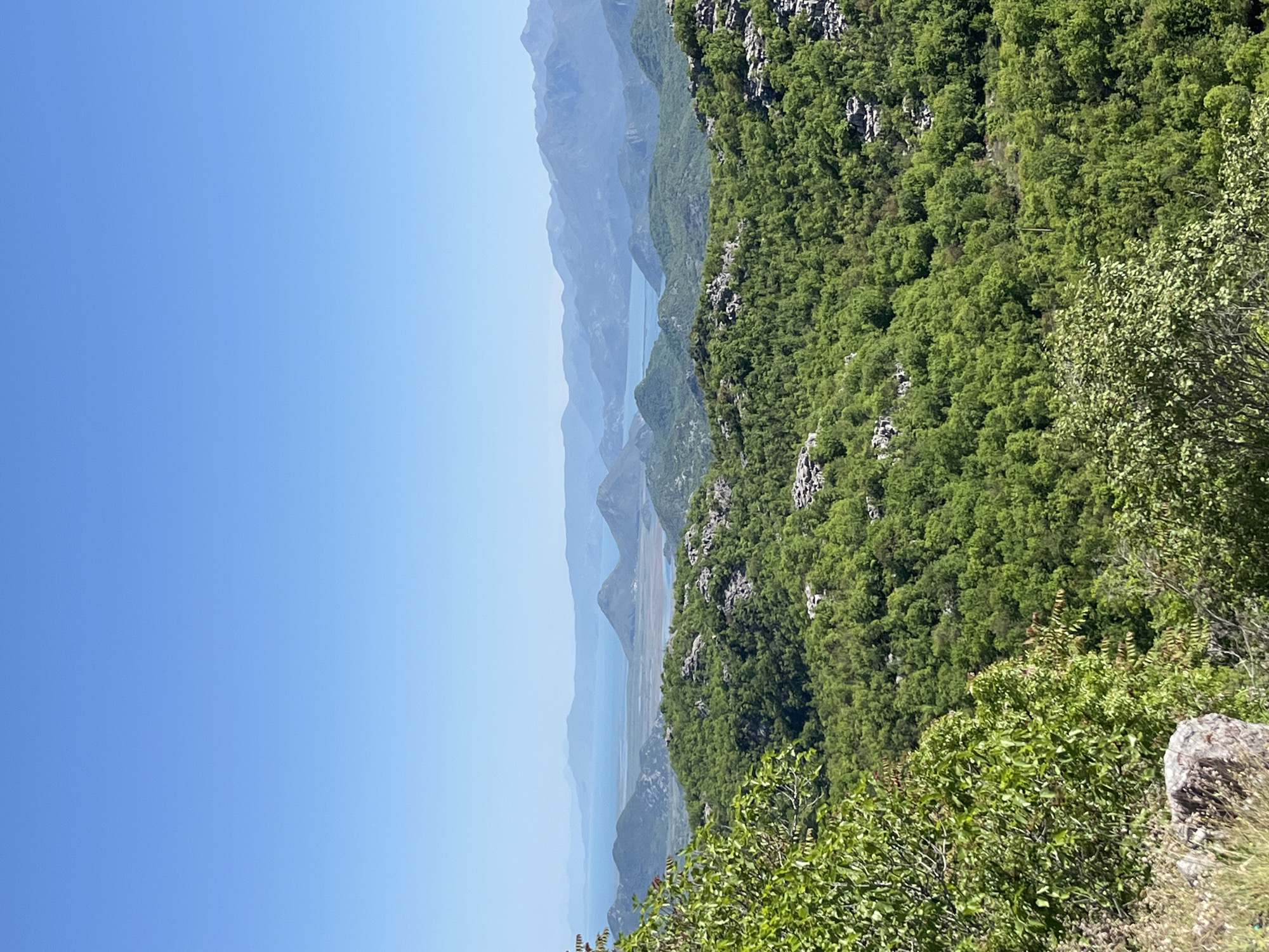 The image displays a vast and serene mountainous landscape under a clear, bright blue sky, captured from a high vantage point looking out over a succession of hills and a distant body of water.
In the foreground, lush green vegetation, comprising dense trees, bushes, and some exposed rocky patches, covers a steep, undulating terrain. The foliage appears vibrant and healthy, suggesting a fertile natural environment.
The midground features rolling mountains and hills, also thickly covered in green. Beyond these, multiple layers of larger mountains recede into the distance, their colors gradually softening to hazy blues and grays, a classic example of atmospheric perspective. A significant body of water, likely a lake or a wide river, is visible nestled between these distant mountain ranges, its light blue surface reflecting the bright sky.
The upper portion of the frame is dominated by a uniform, brilliant blue sky devoid of clouds, signifying clear and sunny weather. The strong, direct light suggests it is daytime, likely late morning or early afternoon.
There are no people, animals, or man-made structures prominently visible in the photograph, nor is there any discernible text. The scene embodies a sense of natural tranquility, grandeur, and isolation, characteristic of a rugged, mountainous region such as Gornja Brova, Montenegro.