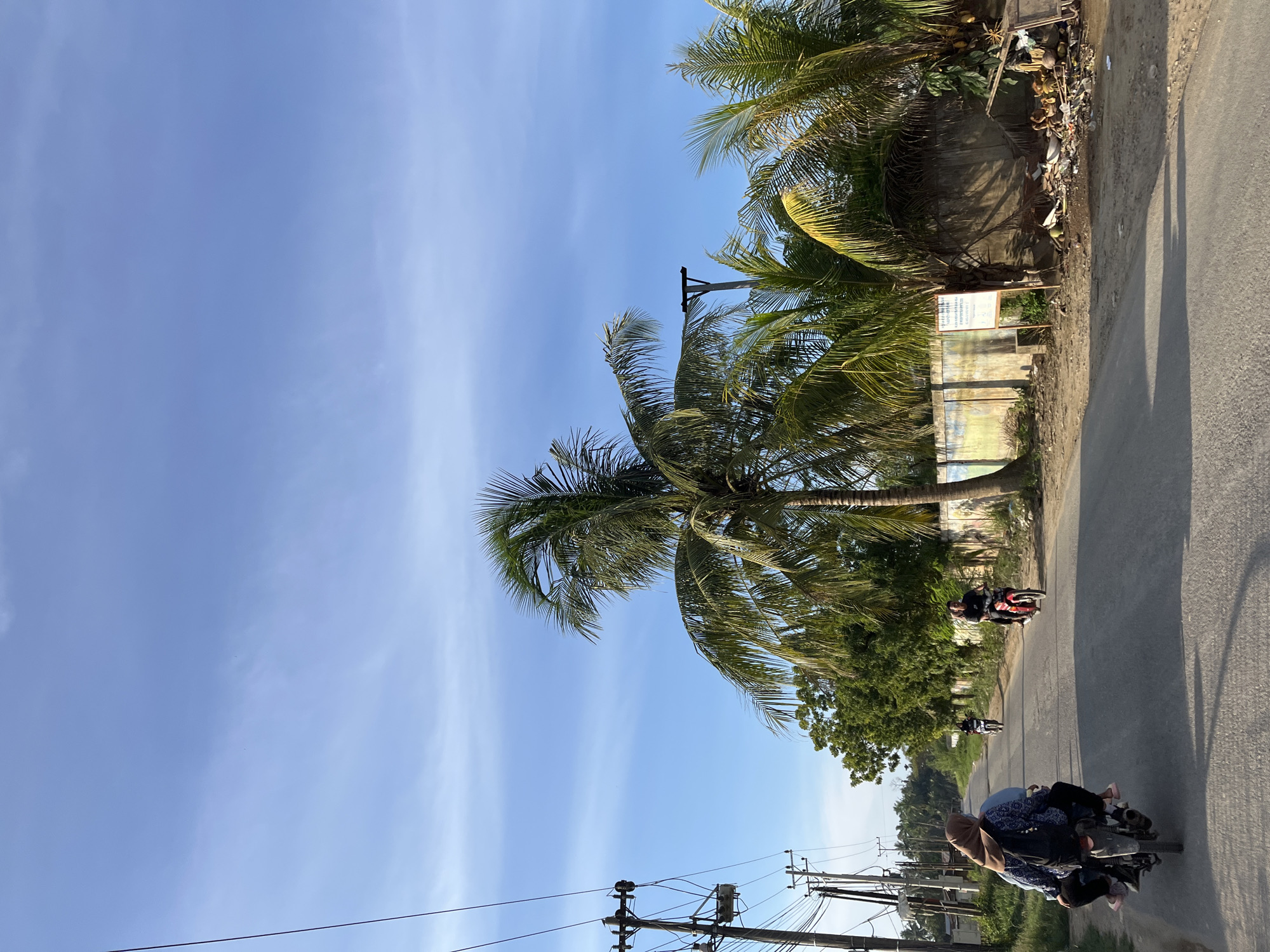 In Alurcucur, Indonesia, a road scene unfolds under a pale blue sky with wispy clouds. The paved road, slightly worn, is flanked by a dirt embankment on the right, which is cluttered with trash and debris. A weathered concrete wall runs along the embankment, adorned with faded colorful graffiti. Several palm trees with lush green fronds stand tall, casting shadows on the ground.
On the road, three motorcycles are in motion. In the foreground, a motorcycle carries two individuals, the passenger wearing a tan hijab. Further down the road, another motorcycle with a single rider heads away from the camera. To the right, a red motorcycle with two occupants is traveling in the same direction as the foreground motorcycle.
To the left of the road, a utilitarian wooden utility pole with electrical wires stretches upwards. The surrounding area is dotted with green trees, suggesting a semi-rural or suburban environment. The overall atmosphere is one of daily life in a tropical setting.