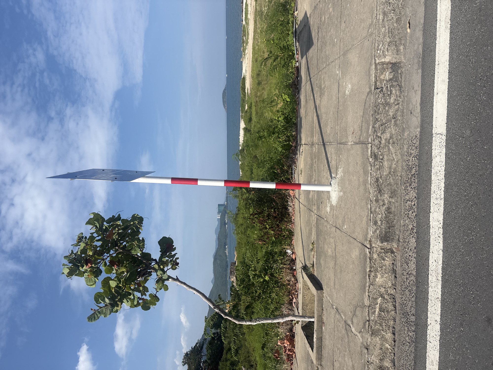 This is a medium-shot, eye-level, outdoor photograph of a sidewalk next to a road in Nha Trang, Vietnam. In the foreground, a paved road with a white line marking runs horizontally across the bottom of the frame. Adjacent to the road is a concrete sidewalk with a raised curb. A slender tree with green leaves and some reddish fruits is planted in a square concrete enclosure on the sidewalk. To the right of the tree, a red and white striped pole stands vertically, supporting a blue sign. The background features lush green vegetation, a sandy area, and the calm blue ocean. In the distance, mountains and several buildings are visible along the coastline. The sky is a clear blue with scattered white clouds. The scene appears to be a sunny day.