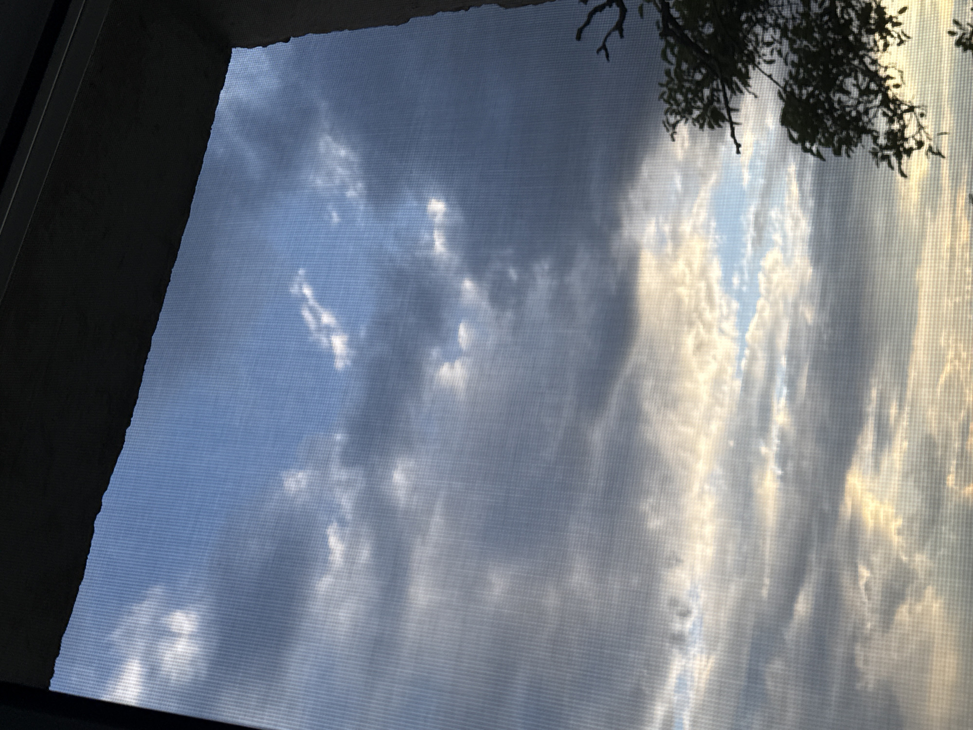 The image displays a cloudy sky viewed from an indoor perspective, likely through a window or skylight.
**Subjects:** The main subject is the sky, filled with an array of white, grey, and blue clouds. In the upper right corner, dark, silhouetted tree branches with foliage extend into the frame. On the left and bottom-left, a dark, angular structure, consistent with a window or skylight frame, partially obscures the view.
**Objects:** A distinctive, fine grid-like pattern covers the entire visible sky area, suggesting the photograph was taken through a mesh screen, such as a window screen or a textured skylight panel.
**Scene/Setting:** The scene is an upward gaze into the sky, implying an interior vantage point looking outdoors. The setting is predominantly the sky with clouds.
**Activity or event taking place:** No specific activity or event involving people or objects is occurring. The image captures a static moment of the sky.
**Notable details:** The lighting suggests a specific time of day, possibly late afternoon or early morning, as indicated by the warm, golden light illuminating some of the clouds, particularly on the right side of the frame. This contrasts with the cooler blue and grey tones in other areas of the sky. The clouds vary in density and formation, ranging from brighter, more diffuse patches to darker, more defined grey masses. The pervasive grid pattern is a key visual element, giving the entire sky a textured, filtered appearance.
**Visible text:** There is no visible text in the image.