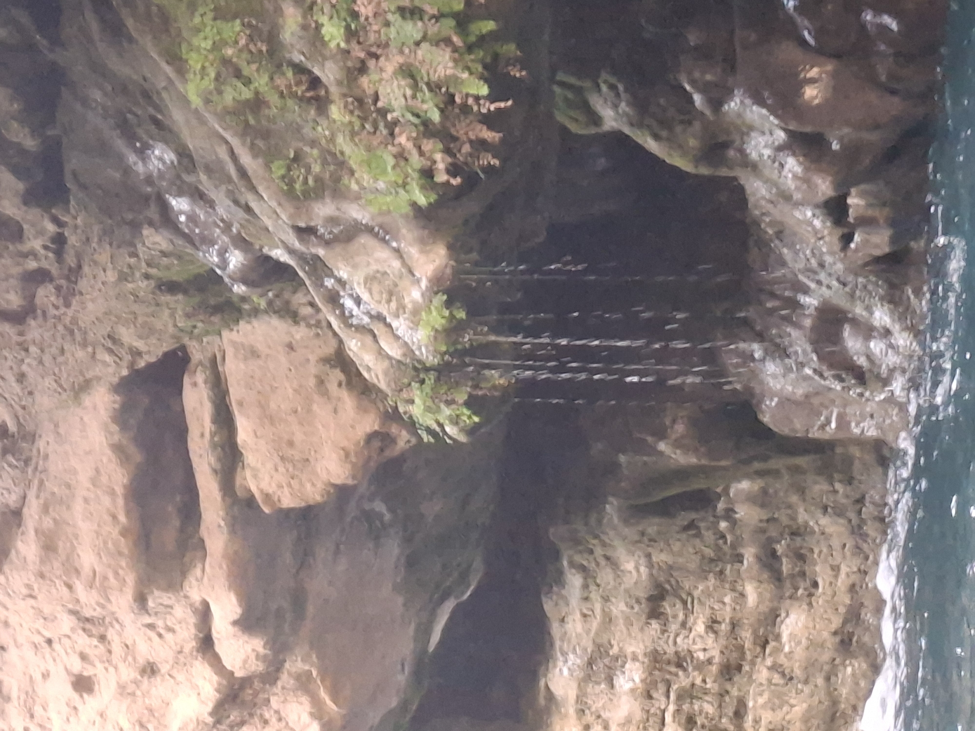 The image depicts a natural scene within a cave-like rock formation. Water trickles down the rocky surfaces, forming thin streams that fall into a body of water at the bottom of the frame. Lush green moss and ferns are visible clinging to the rocks, particularly on the upper right side. The rock formations themselves are textured and appear to be composed of layered sedimentary rock. The overall impression is one of a serene and natural environment, possibly a secluded grotto or waterfall. No people or man-made objects are visible in the image. The location is not identifiable as being within the city of Unknown, Spain.