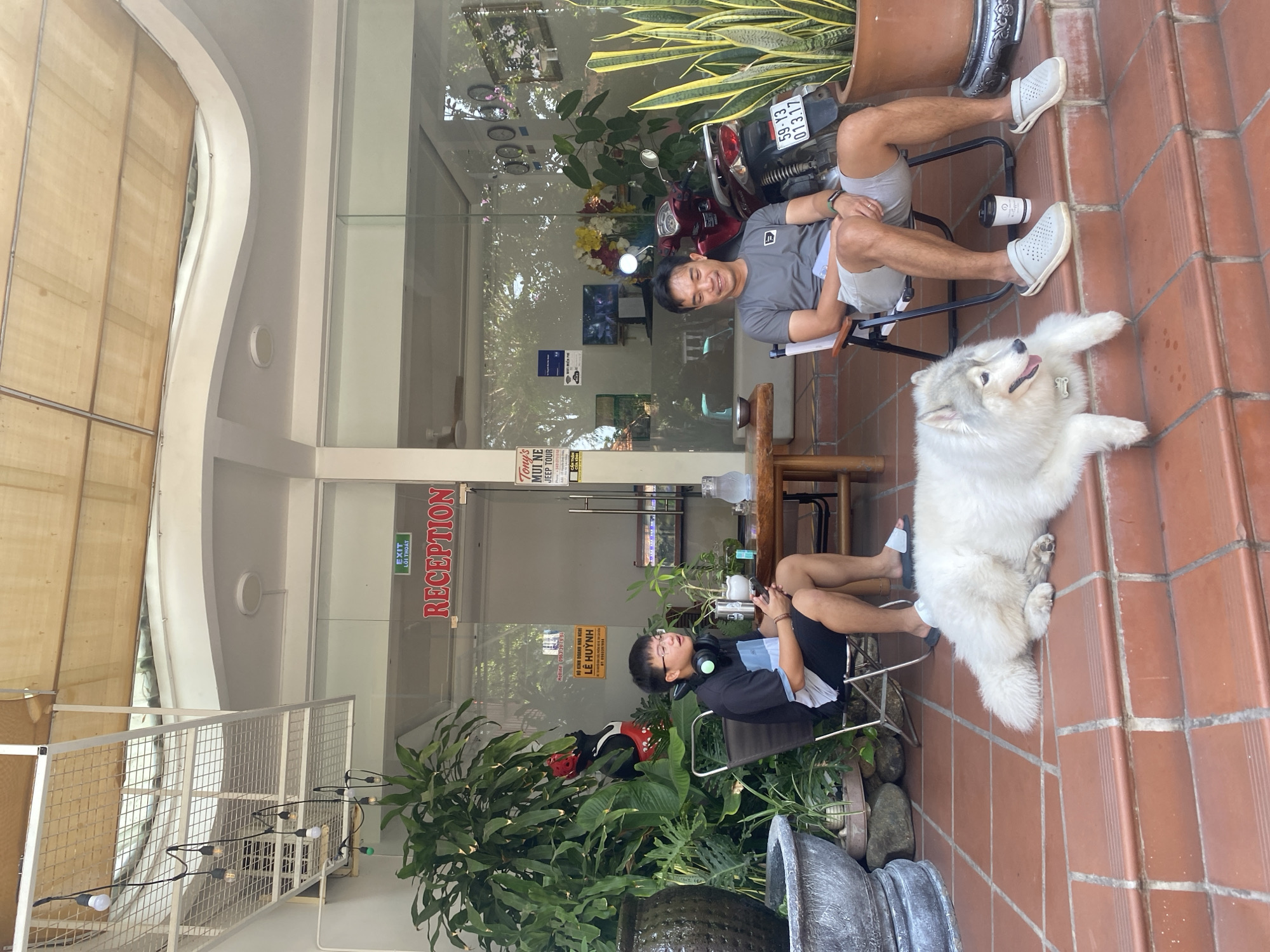 The image depicts an outdoor seating area in front of a reception area. Two men are seated on chairs, and a large, fluffy white dog is lying on the steps in front of them. The man on the left is wearing a black and blue t-shirt, black shorts, glasses, and headphones around his neck, and is holding a mobile phone. The man on the right is wearing a grey t-shirt, grey shorts, and is holding a book or paper. A red scooter is parked behind him. The reception area has a glass facade with "RECEPTION" and "EXIT" signage visible. Lush green plants and large potted plants are scattered around the area. The ground is paved with reddish-brown tiles. The image appears to be taken in Phu Thuy Ward, Vietnam.