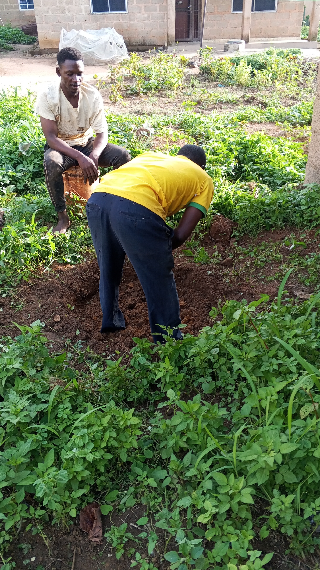 In an outdoor setting in the city of Unknown, Unknown, two individuals are present. One man, wearing a light-colored t-shirt and dark pants, is seated on a bucket-like object. He is looking towards the other man. The second man is wearing a yellow t-shirt with green armbands and dark pants. He is bent over, seemingly digging in the earth. The surrounding environment includes a building, various plants, and exposed soil.