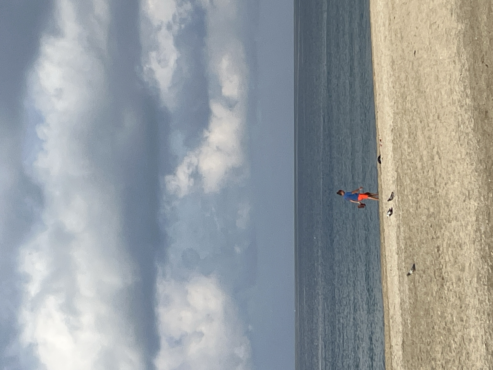 The image depicts a beach scene, likely in Alanya, Turkey, as indicated by the beach and coastal features. A person wearing a blue shirt and orange shorts is on the beach. Several birds (likely seagulls or pigeons) are scattered around the person. The sky is filled with predominantly gray and white clouds. The sea occupies the left side of the image. The sand is light-colored. The image appears to have been taken from a high angle, possibly from a building or higher ground.