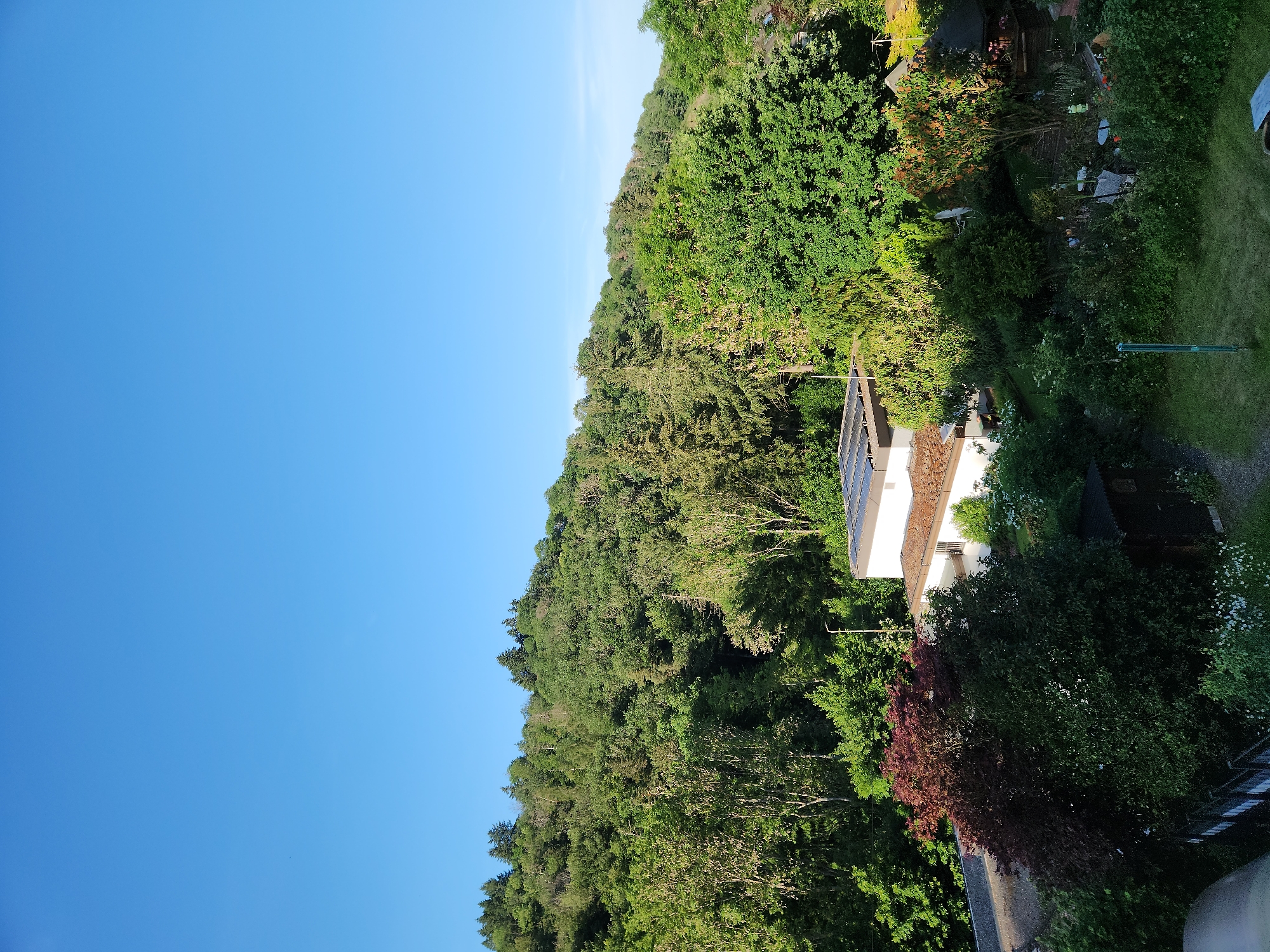 This is an aerial, full-frame, eye-level shot of a residential area on the edge of a densely wooded hill in Idar-Oberstein, Germany. The sky is a clear, vibrant blue. The foreground features a white building with a brown tiled roof and solar panels. To the left of the building, there is a dark wooden shed. The yard is overgrown with lush green vegetation, including trees, bushes, and flowering plants. A wooden fence runs along the left side of the property. Beyond the residential area, a steep, tree-covered hill dominates the background, with various shades of green foliage. The overall impression is one of a peaceful, natural environment integrated with a suburban setting.
