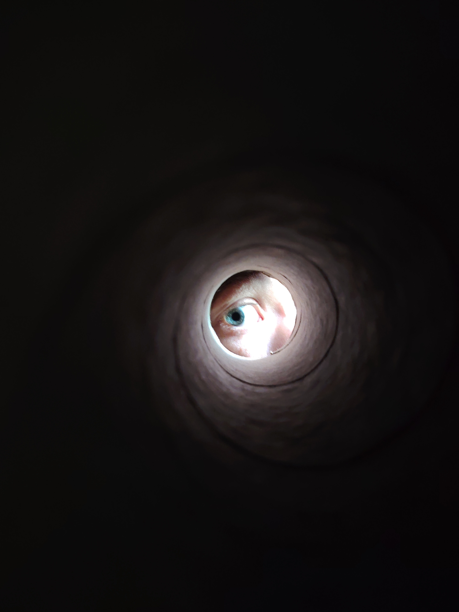 The image presents a striking, high-contrast close-up shot of a single human eye peering through a dark, cylindrical tube, likely made of cardboard. The perspective is from inside the tube, looking outwards towards the eye.
The primary subject is a human eye, specifically the left eye, with a vivid blue iris and a clearly defined pupil. A small section of the surrounding skin, appearing to be part of the forehead and eyelid area, is also visible, illuminated by a light source positioned behind the eye. This light brightens the end of the tube and the skin, creating a focal point against the predominantly dark composition. The interior surface of the tube itself shows a slight texture, typical of cardboard, emphasizing its cylindrical form and creating a tunnel-like effect.
The scene is shrouded in deep shadows, with light concentrated only at the very end of the tube where the eye is present. This focused lighting draws immediate attention to the eye, giving the impression of an intense gaze or careful observation. No other objects or distinct background elements are visible, contributing to the mysterious and introspective atmosphere.
The activity captured is a person looking through an enclosed space, creating a sense of being watched or a moment of focused attention from within a confined environment. There is no visible text in the image. The time of day and weather conditions are indeterminate due to the controlled and limited lighting. This event is taking place in Chaikovsky, Russia.