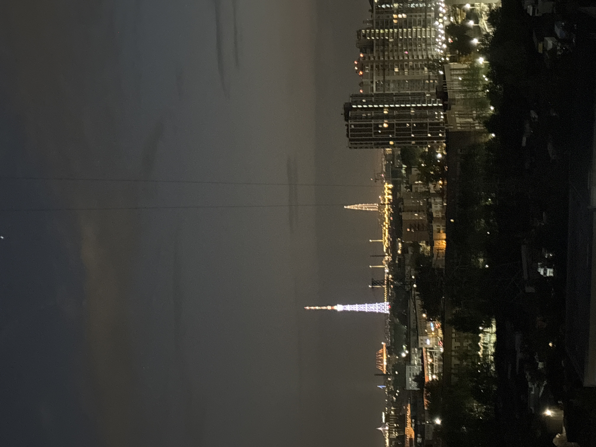 This is a nighttime shot of the city of Tokyo, Japan. In the distance, the lit-up Tokyo Tower can be seen amidst the cityscape. Closer, one can see a cluster of high-rise buildings and streets dotted with lights. The right side of the image shows a silhouette of foliage, likely trees in a park or along a street. The sky is dark and overcast.