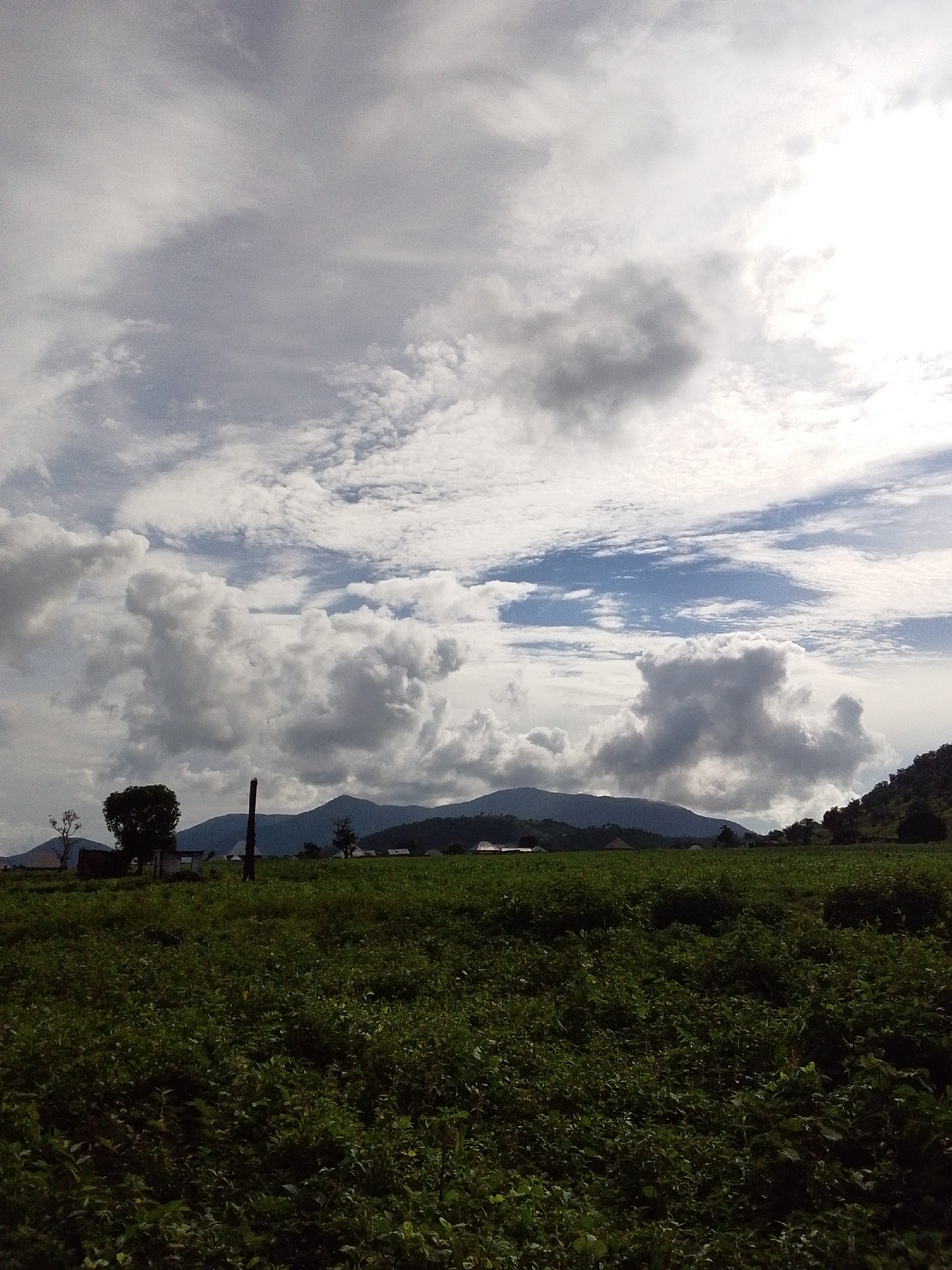 The image depicts a wide landscape scene in Serti, Nigeria, under a partially cloudy sky. The foreground is dominated by a lush green field of crops, which extends to the horizon. In the middle ground, a few structures, including what appears to be a small building and a lone, dark pole, are visible amidst the greenery. Several trees are scattered across this area, with one prominent tree on the left side of the frame. Beyond the field and structures, rolling hills form the background, with the tops of some of these hills obscured by clouds. The sky is a mix of bright white and grey clouds, with patches of blue visible in between. The lighting suggests it is daytime, likely late afternoon, with the sun breaking through the clouds, casting subtle shadows. There are no people or animals visible in the image. The overall impression is one of a rural, agricultural setting with a dramatic sky.