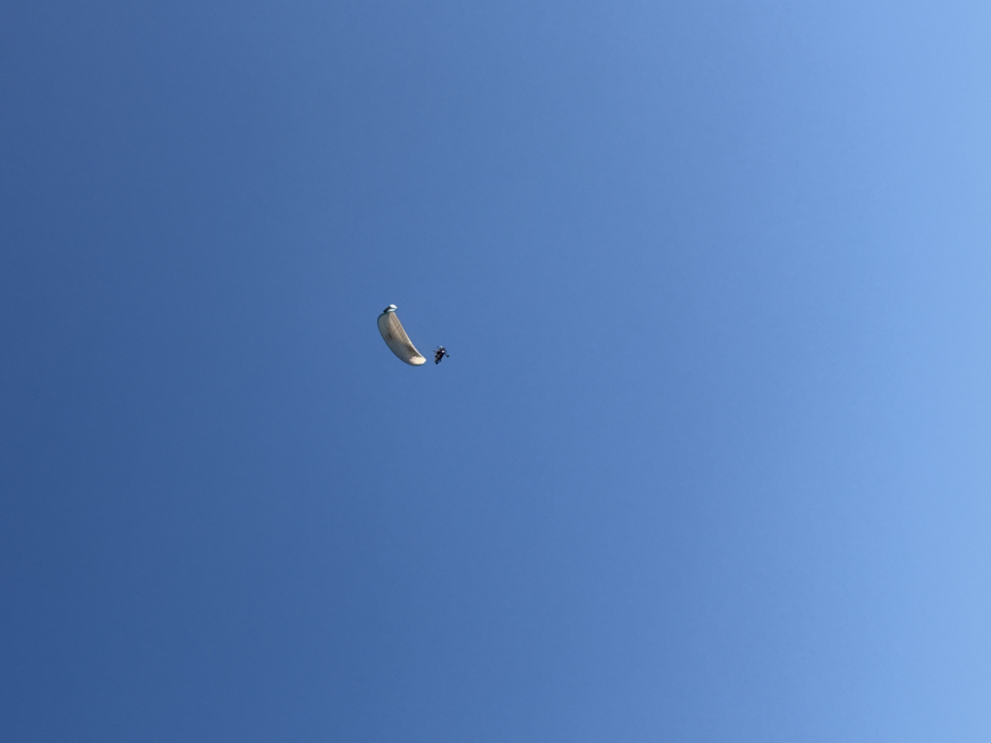 The image shows a paraglider soaring in a clear blue sky. The paraglider is positioned in the upper-left center of the frame. The scene consists solely of the paraglider and the sky. The location is Unknown, Unknown.